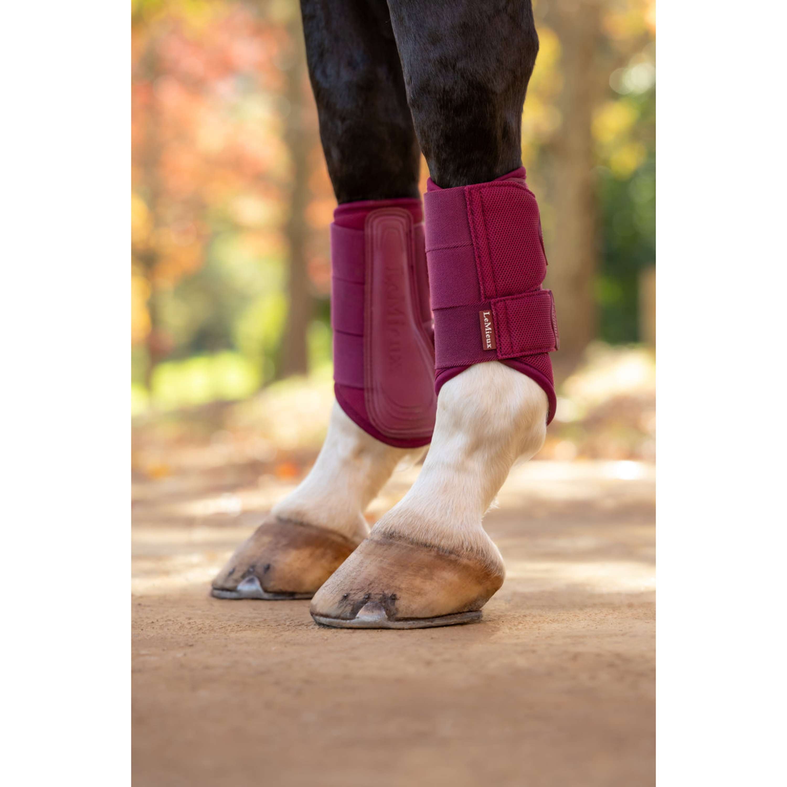 LeMieux Protectores de piernas Arika Mesh Blackberry