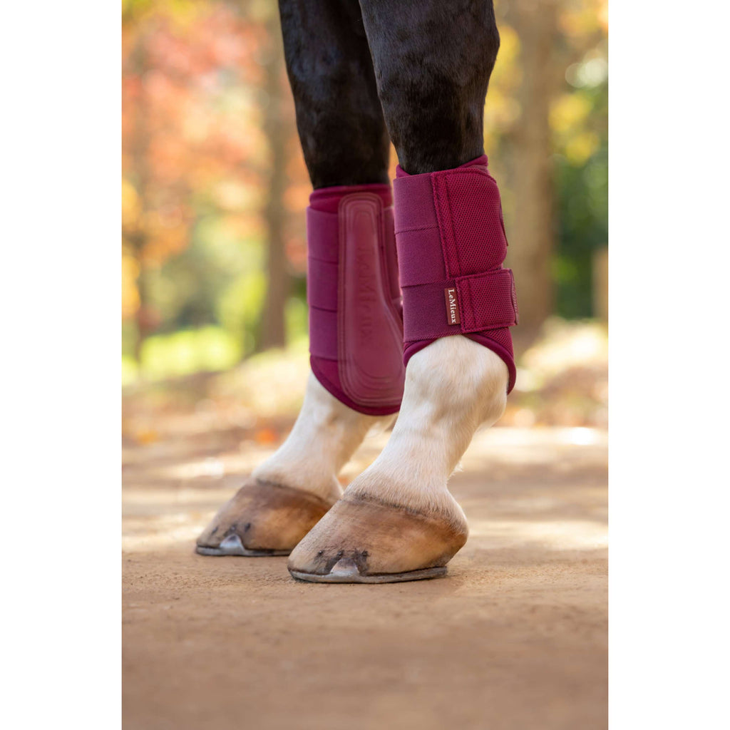 LeMieux Protectores de piernas Arika Mesh Blackberry