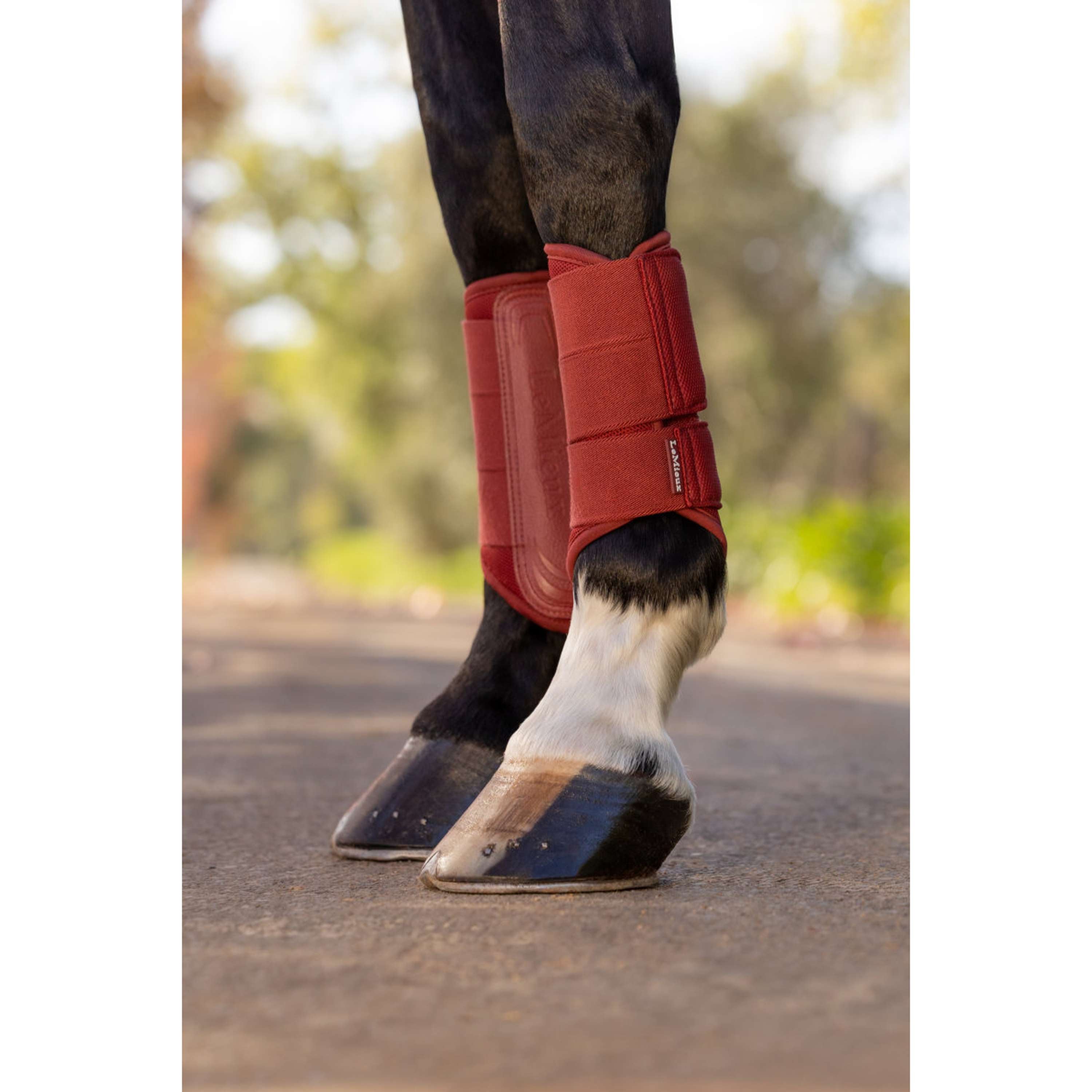 LeMieux Protectores de piernas Arika Mesh Russet