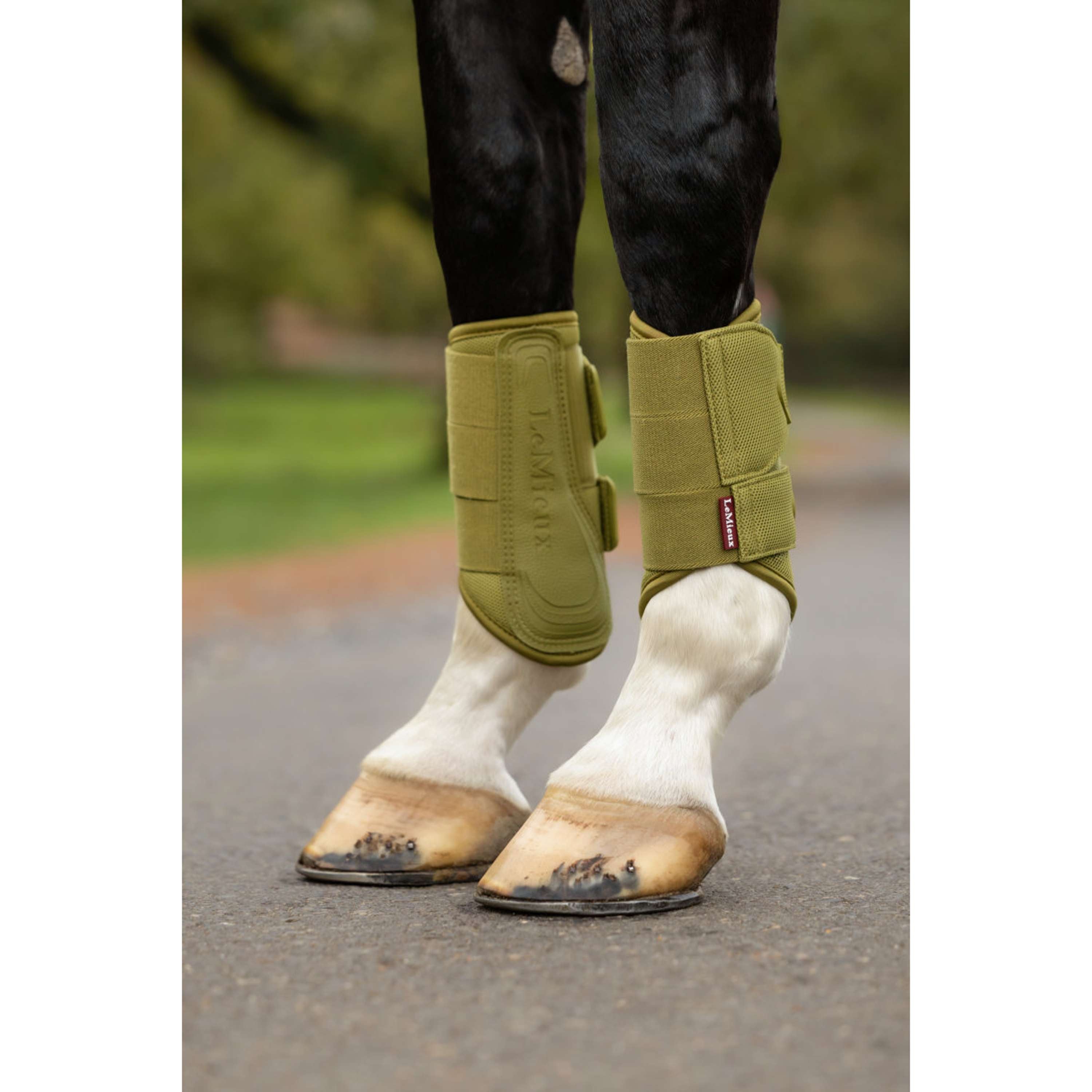 LeMieux Protectores de piernas Arika Mesh Gooseberry
