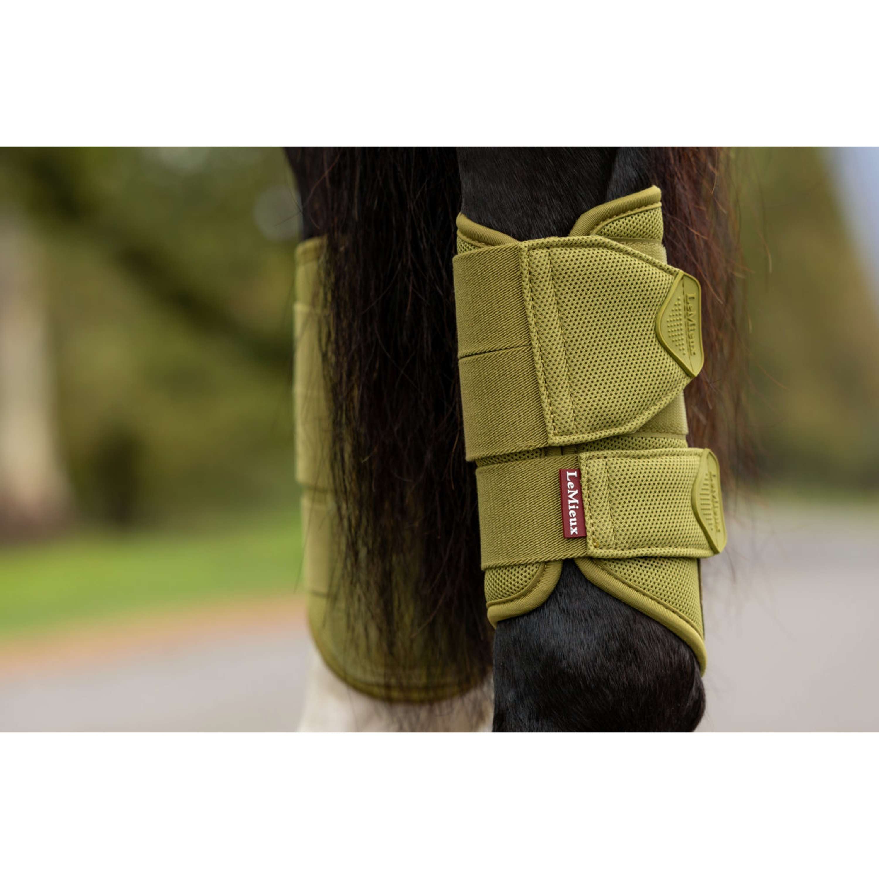 LeMieux Protectores de piernas Arika Mesh Gooseberry
