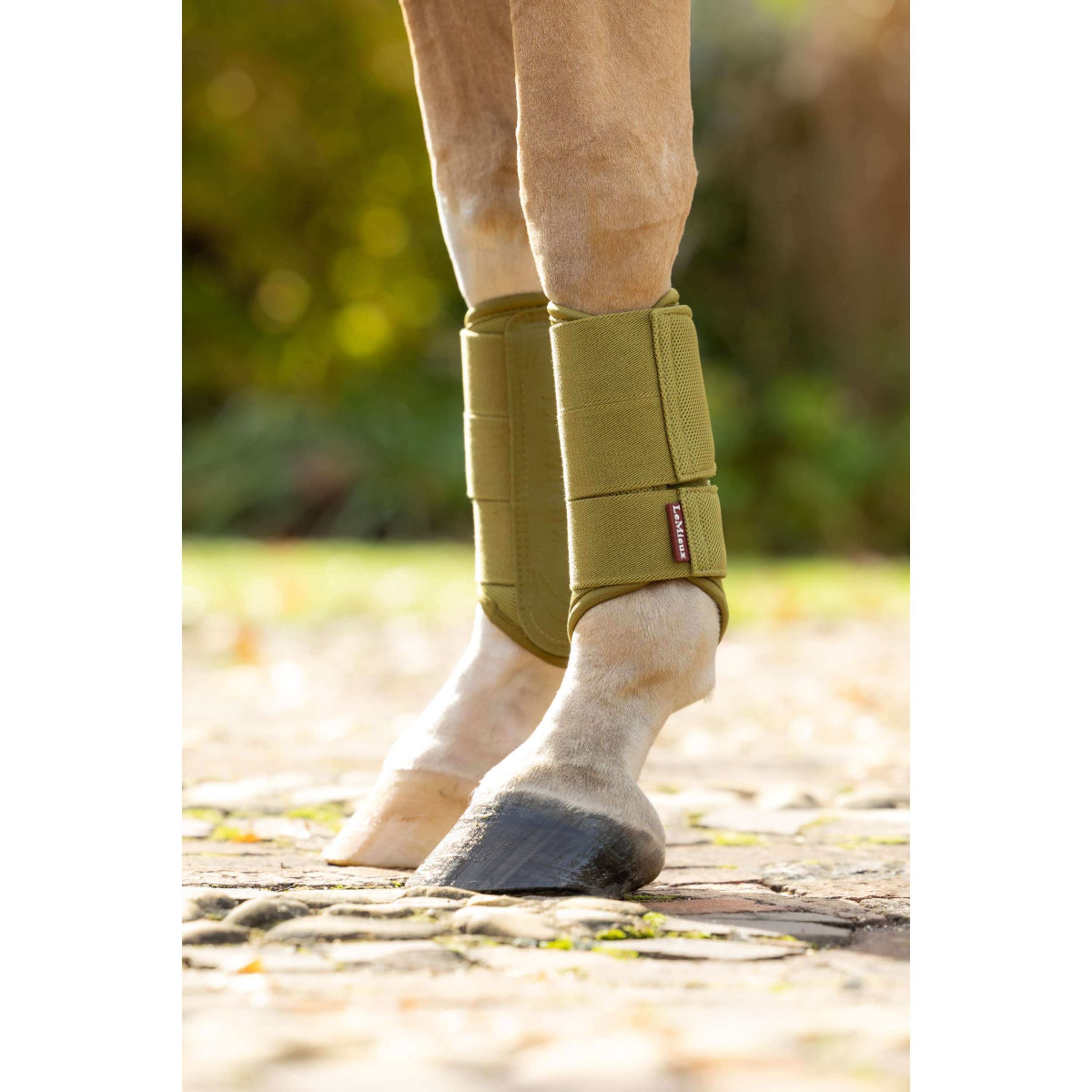 LeMieux Protectores de piernas Arika Mesh Gooseberry