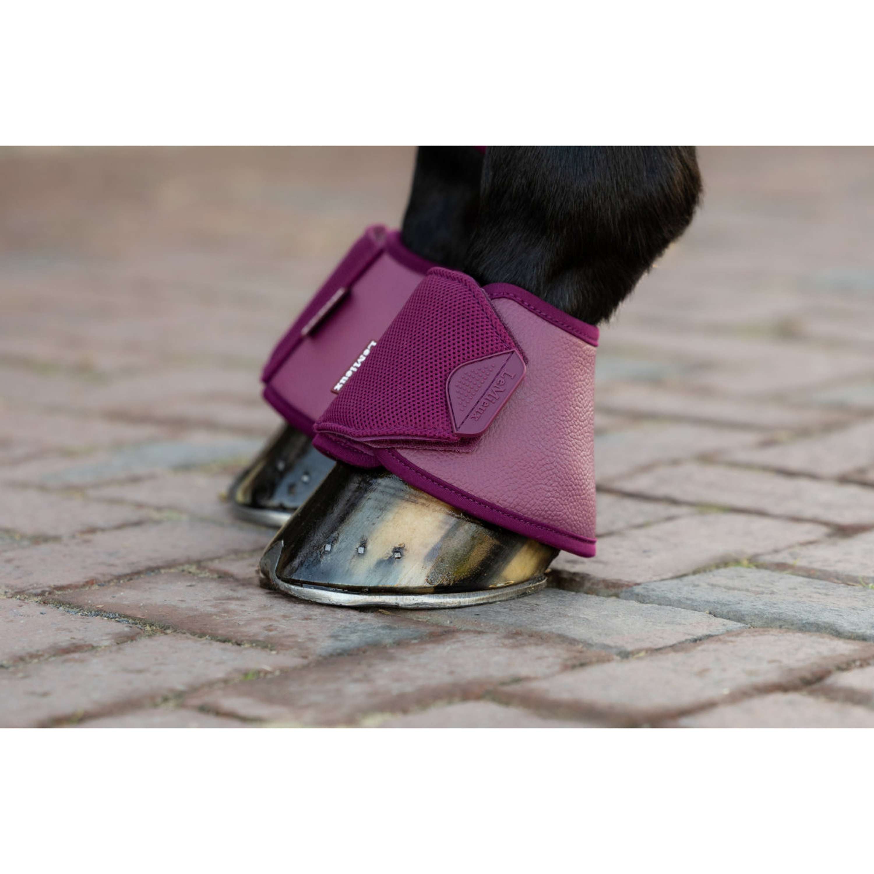 LeMieux Botas para Caballos Arika Blackberry