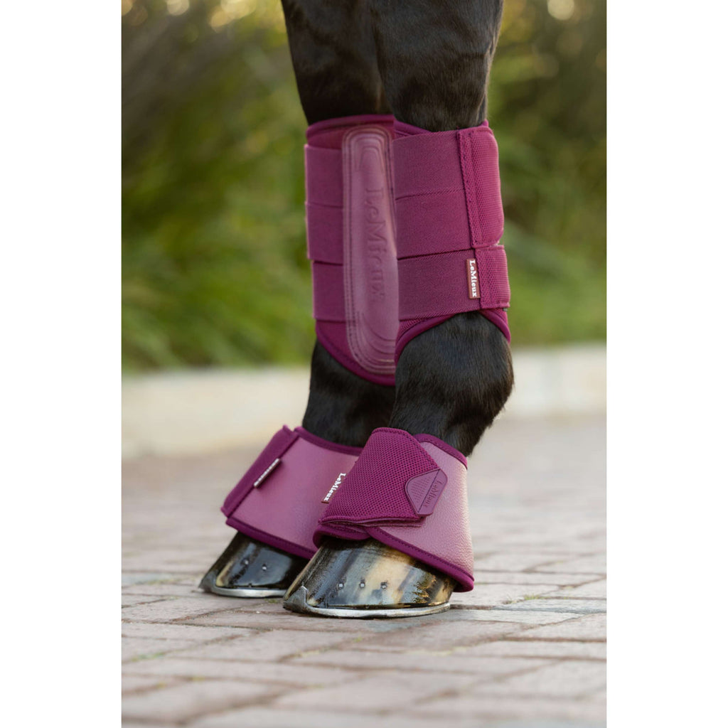 LeMieux Botas para Caballos Arika Blackberry