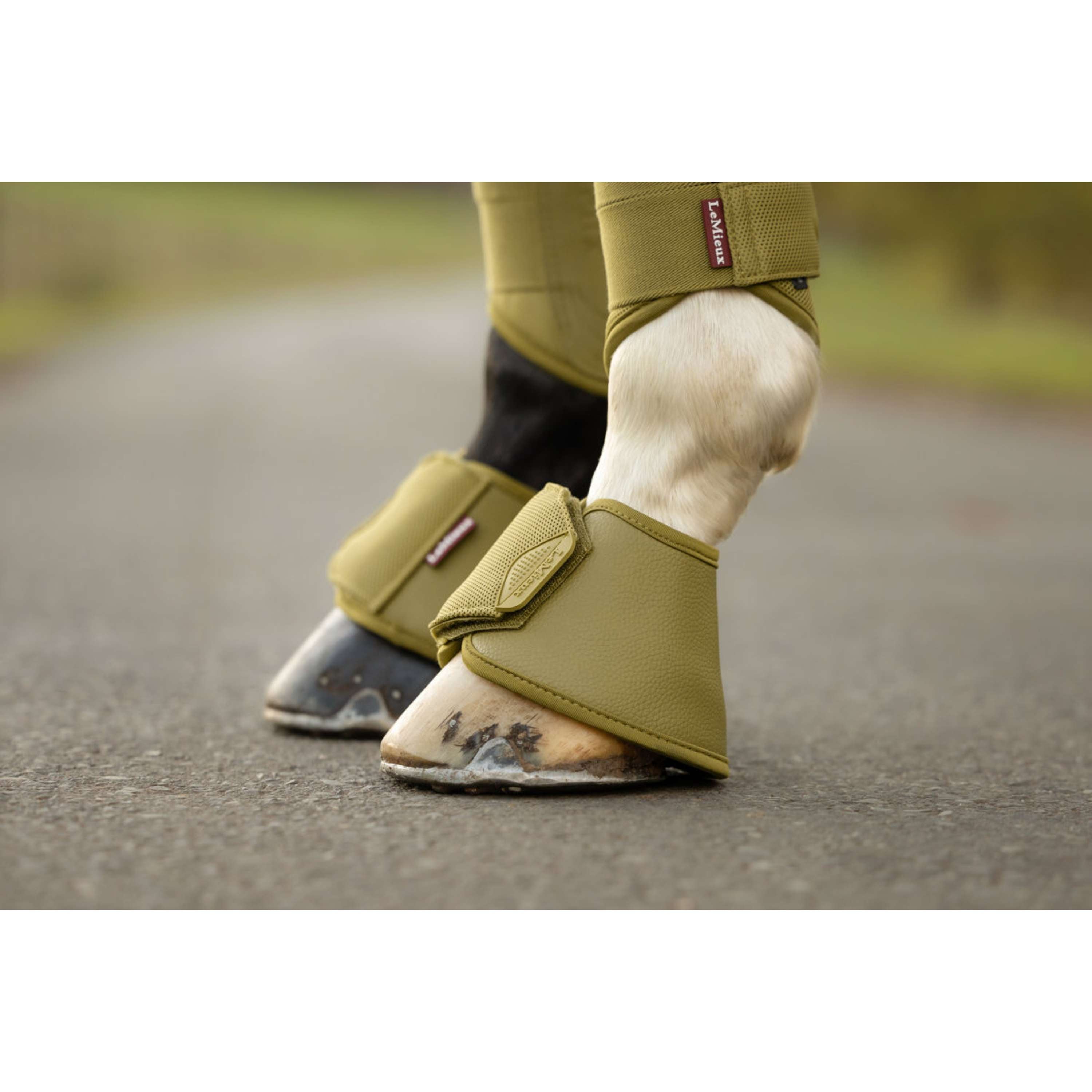 LeMieux Botas para Caballos Arika Gooseberry