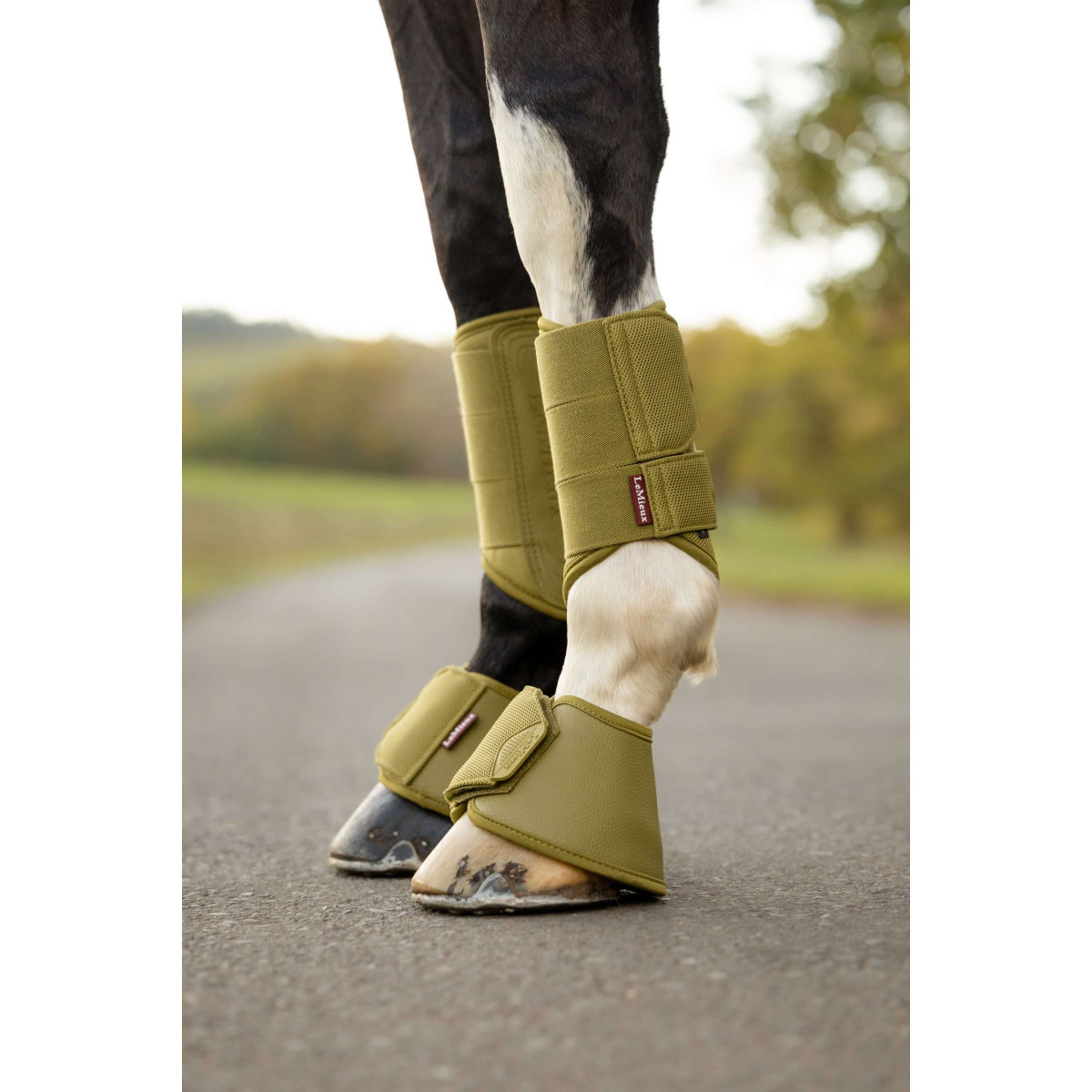 LeMieux Botas para Caballos Arika Gooseberry