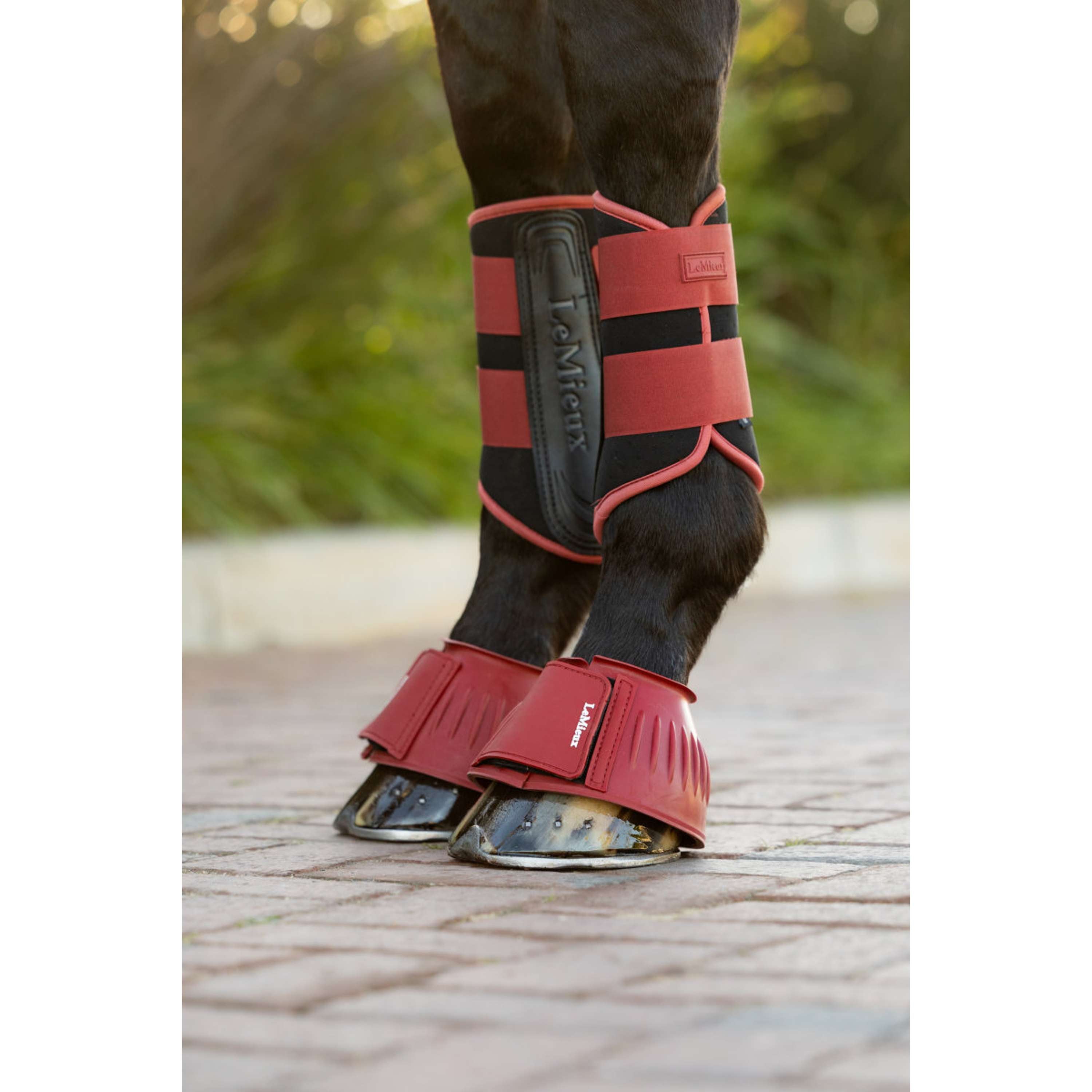 LeMieux Botas para Caballos Rubber Russet