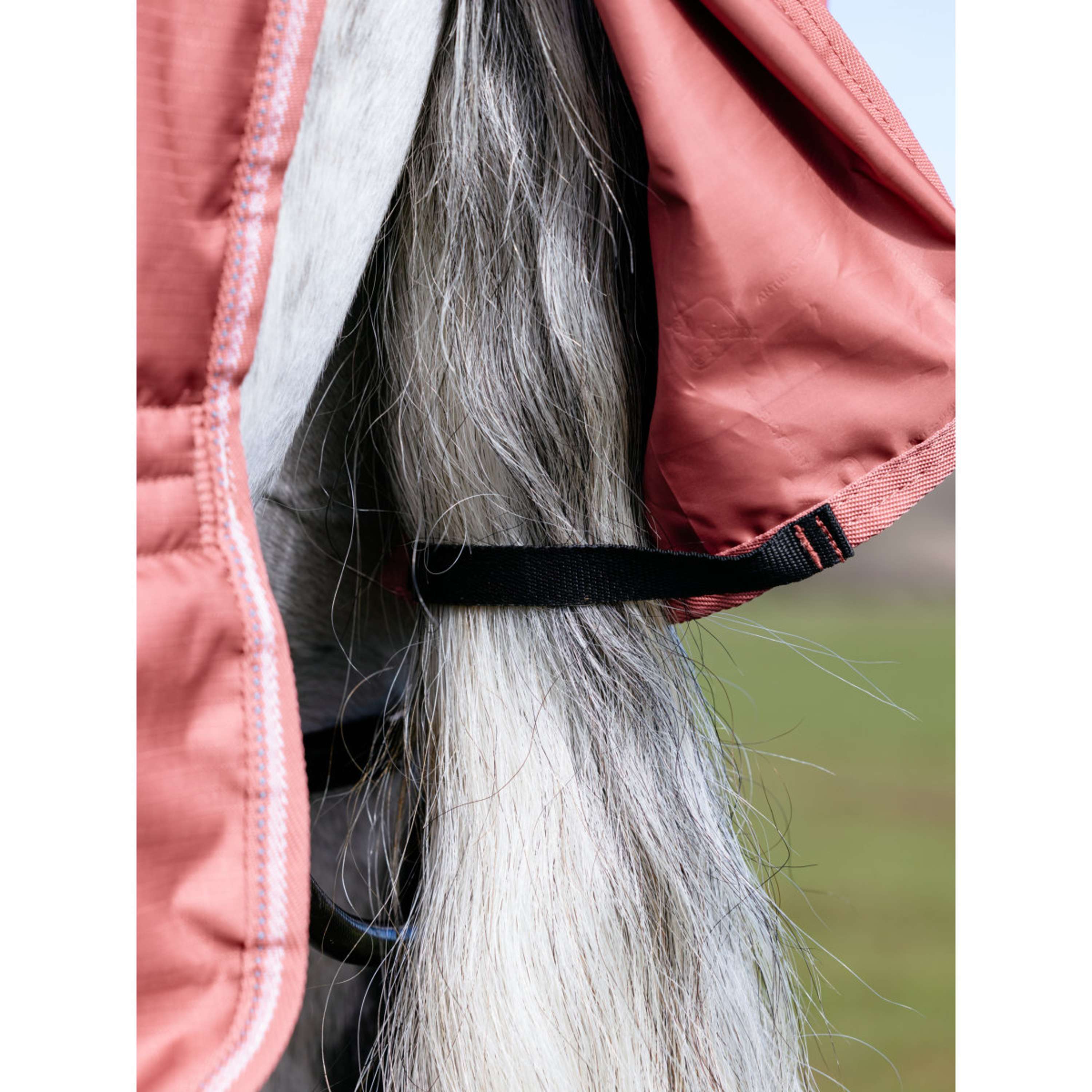 LeMieux Manta Impermeable Arika Star 0g Spiced Earth