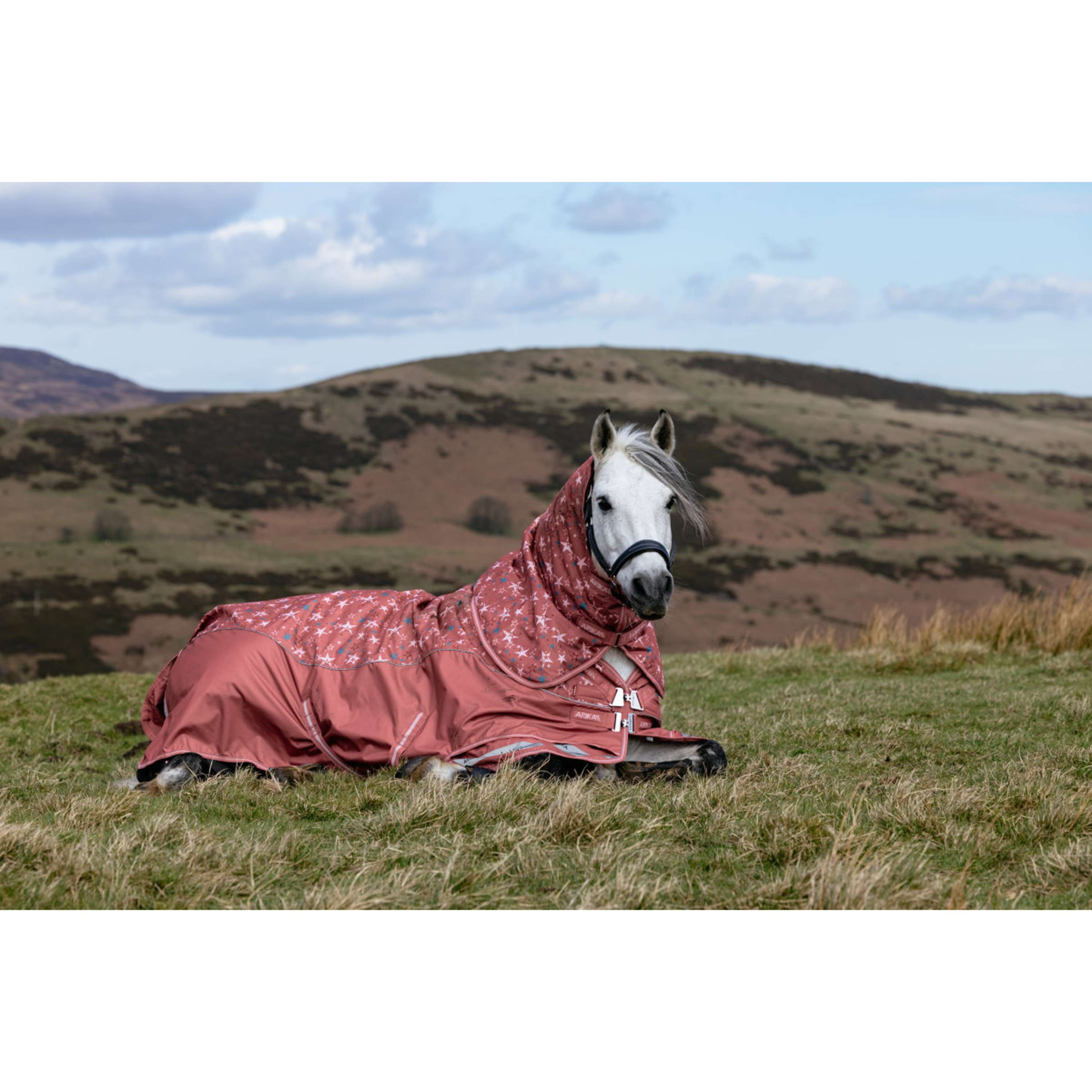 LeMieux Manta Impermeable Arika Star 0g Spiced Earth