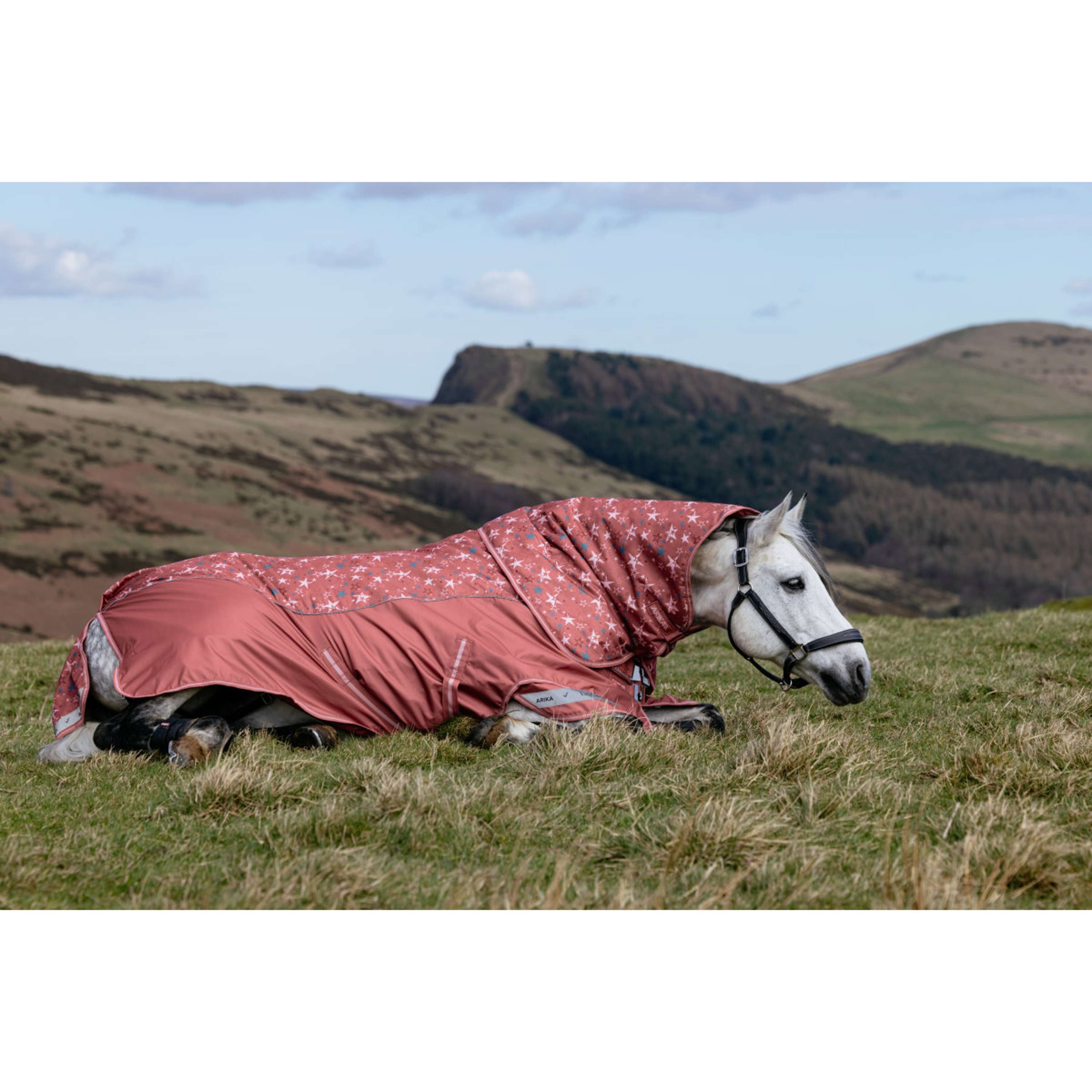 LeMieux Manta Impermeable Arika Star 0g Spiced Earth