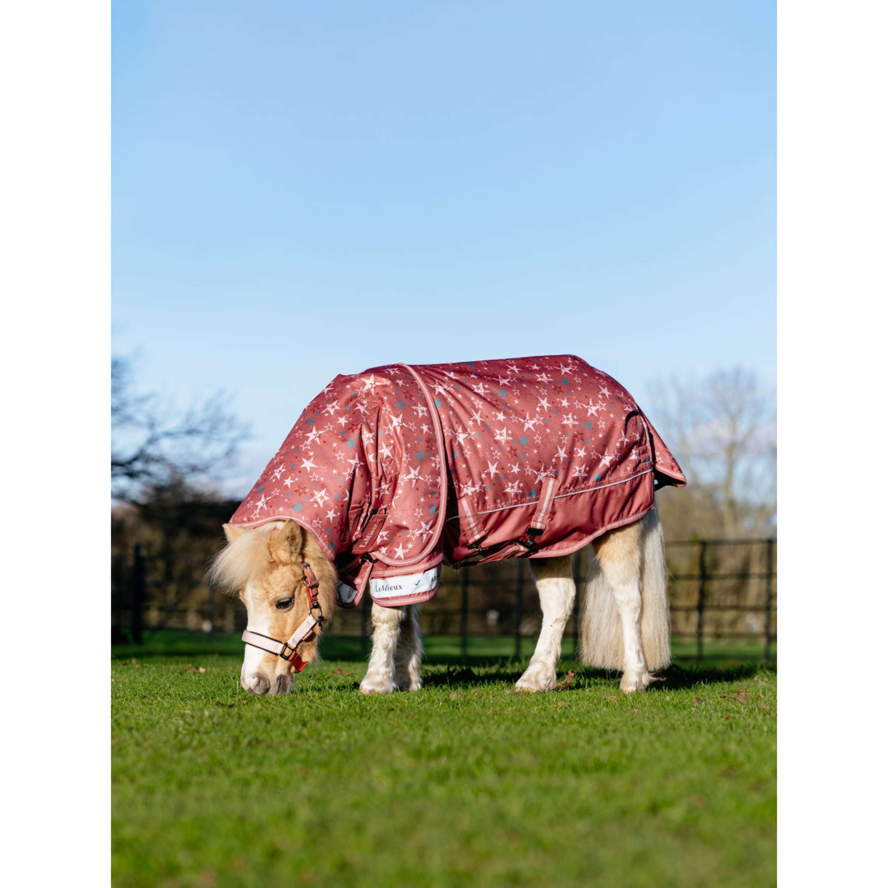 LeMieux Manta Impermeable Arika Star 0g Spiced Earth