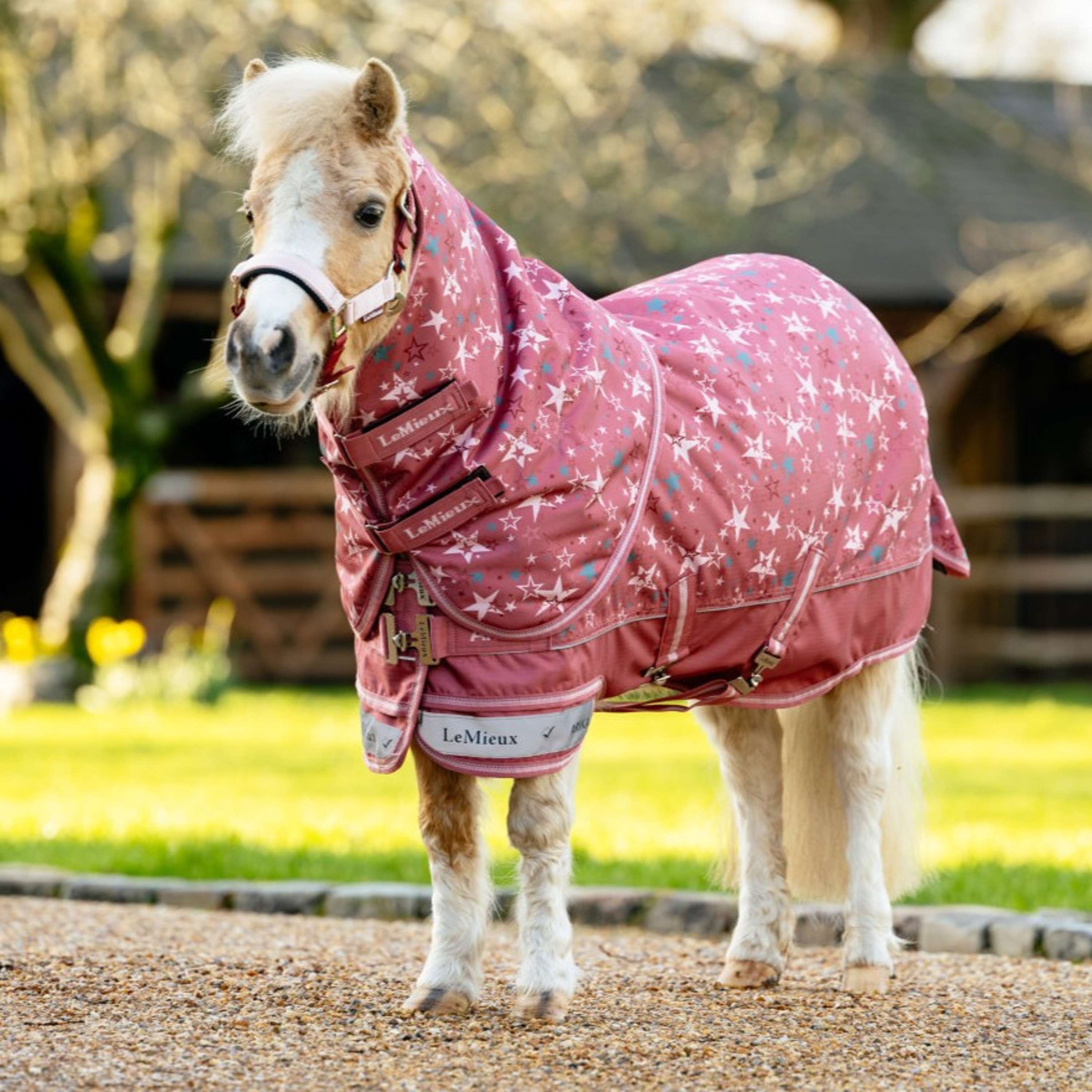 LeMieux Manta Impermeable Arika Star 0g Spiced Earth