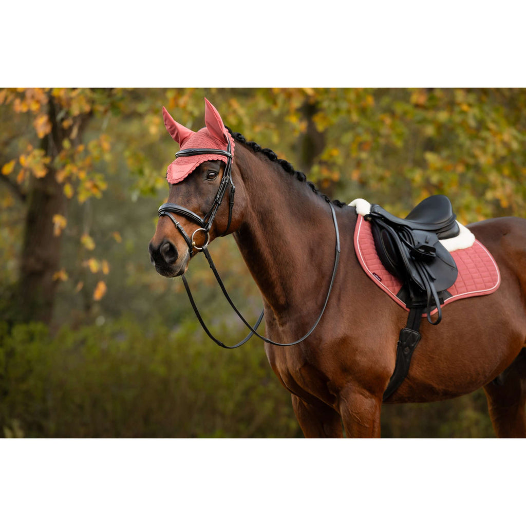 LeMieux Bonete para Orejas Classique Spiced Earth