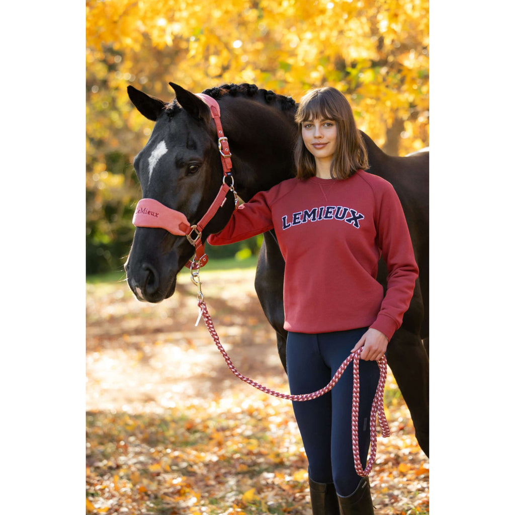 LeMieux Suéter Vida Varsity Crew Neck Russet