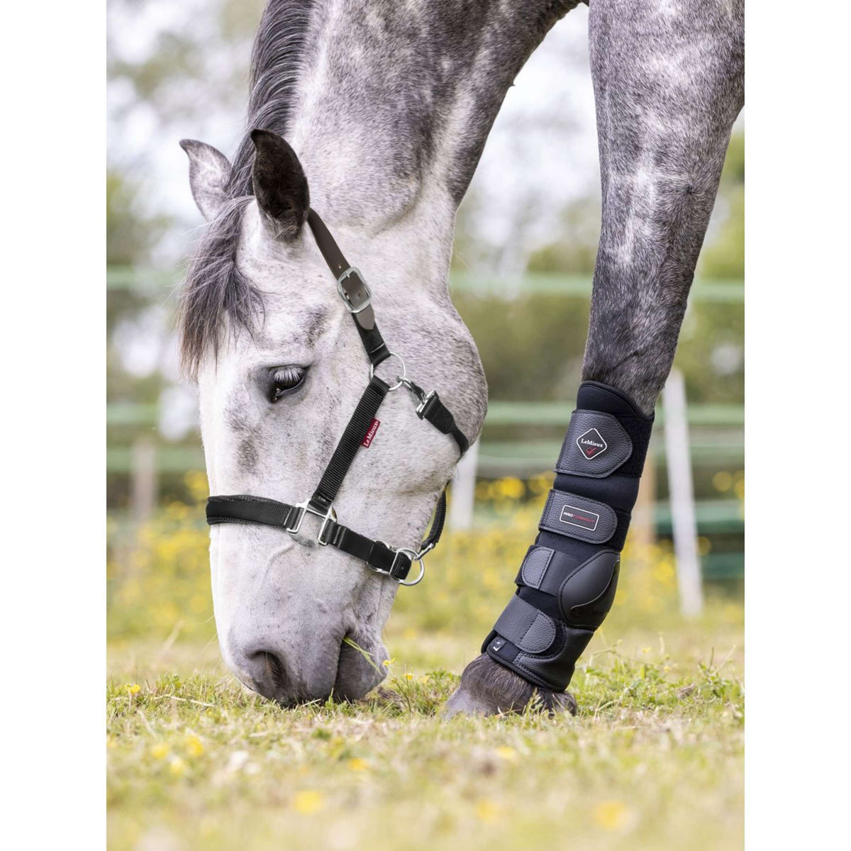 LeMieux Cabezada Break Away Negro