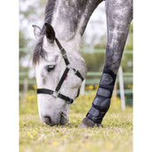 LeMieux Cabezada Break Away Negro