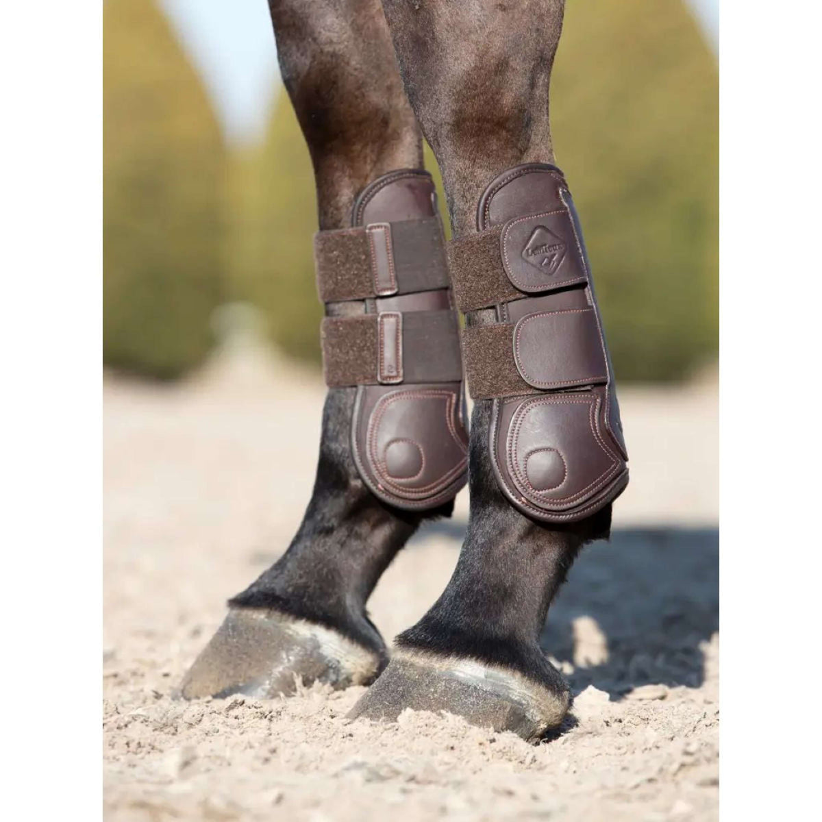 LeMieux Botas para tendones Capella Marron