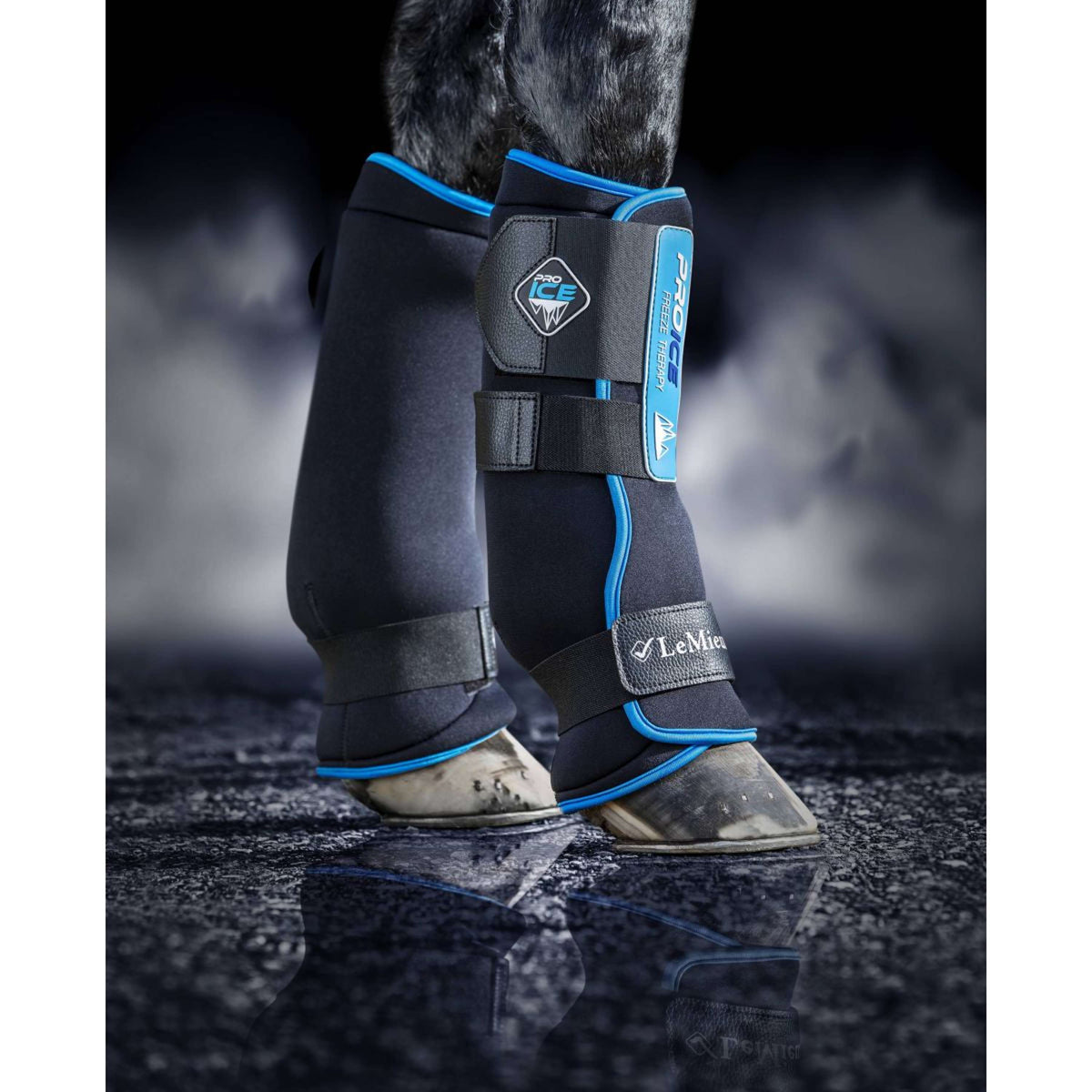 LeMieux Protectores de piernas Freeze Therapy Negro