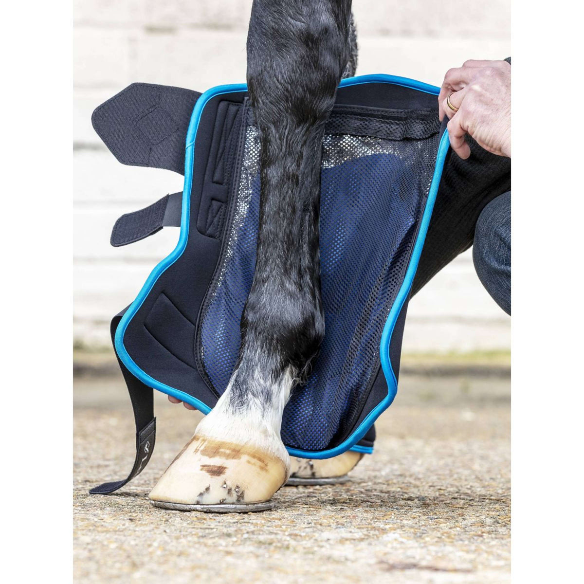 LeMieux Protectores de piernas Freeze Therapy Negro