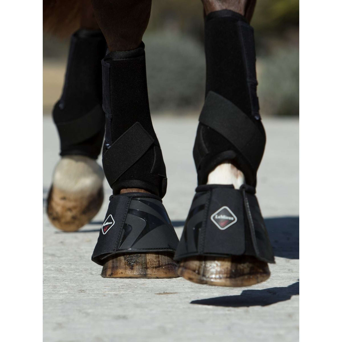 LeMieux Botas de Campana Brushing Negro