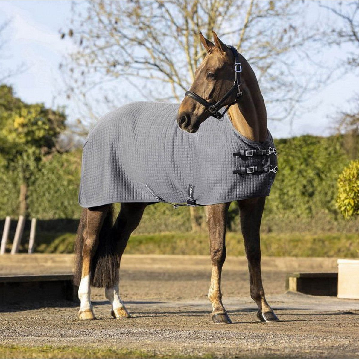 LeMieux Alfombra Arika Clima-Tek Gris