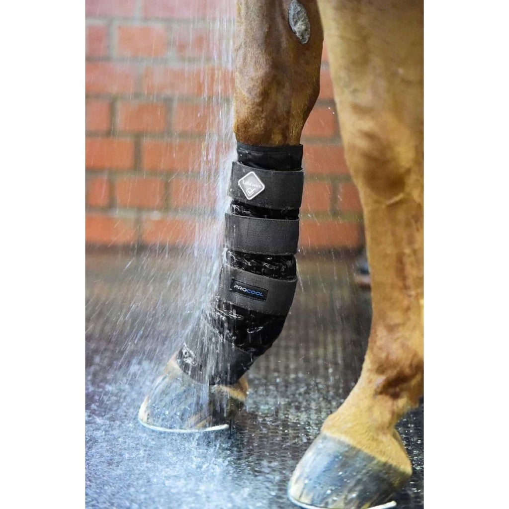 LeMieux Boots Cold Water Negro