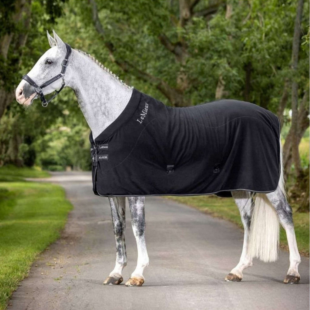 LeMieux Manta de Forro Polar Arika Cooler Negro