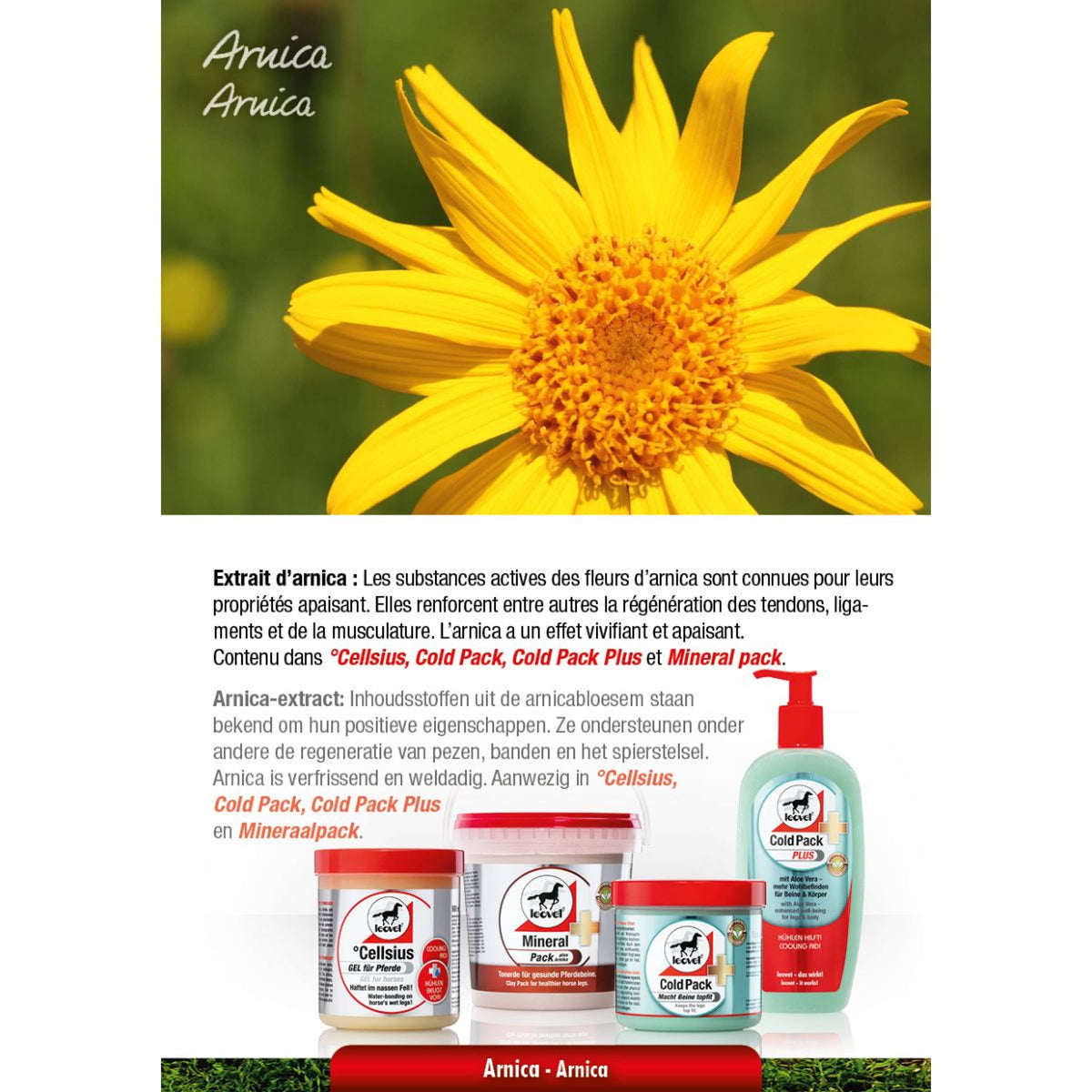 Leovet Paquete Frío