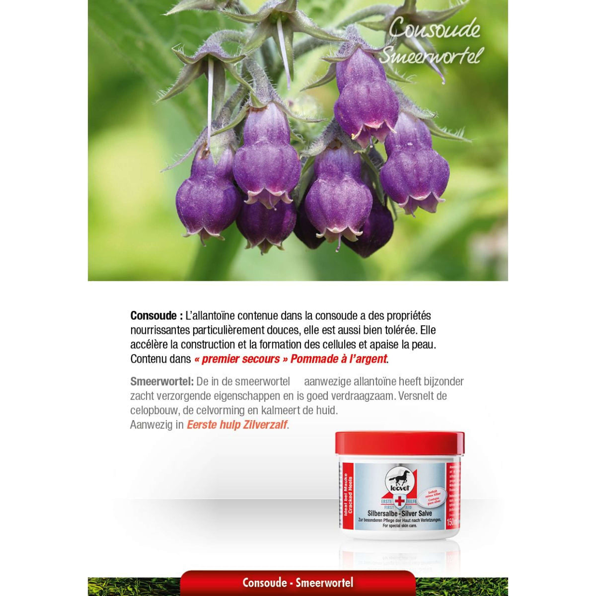 Leovet Ungüento de Plata Blanco