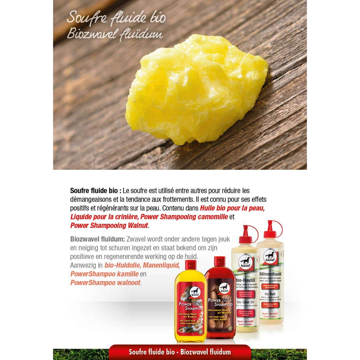 Leovet Power Shampoo Nuez