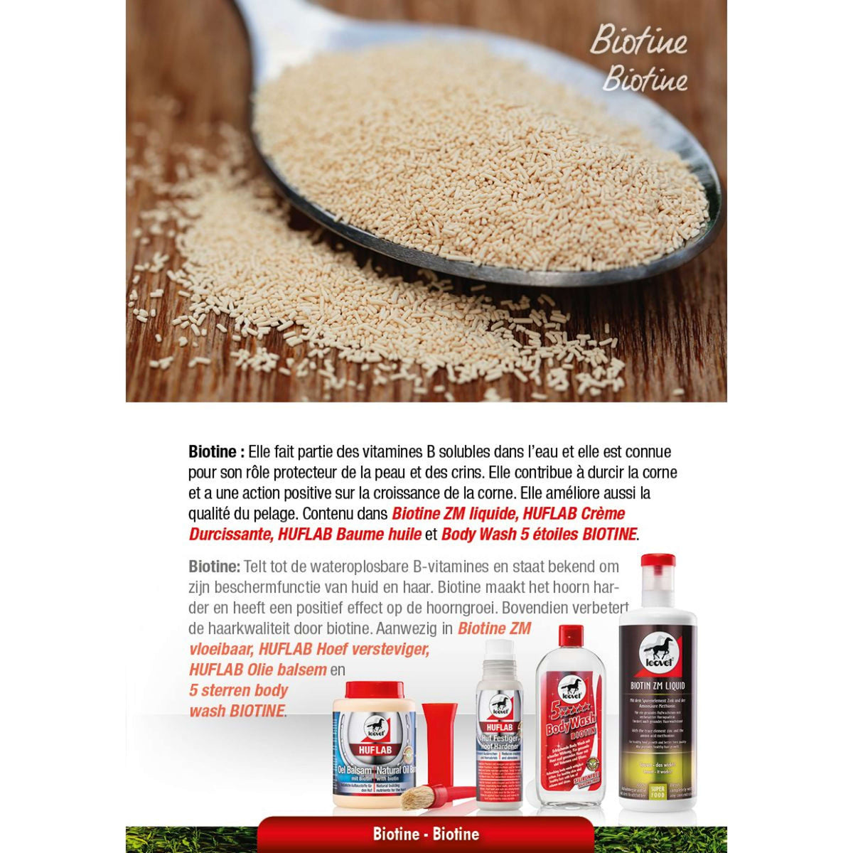 Leovet Biotine ZM Líquido