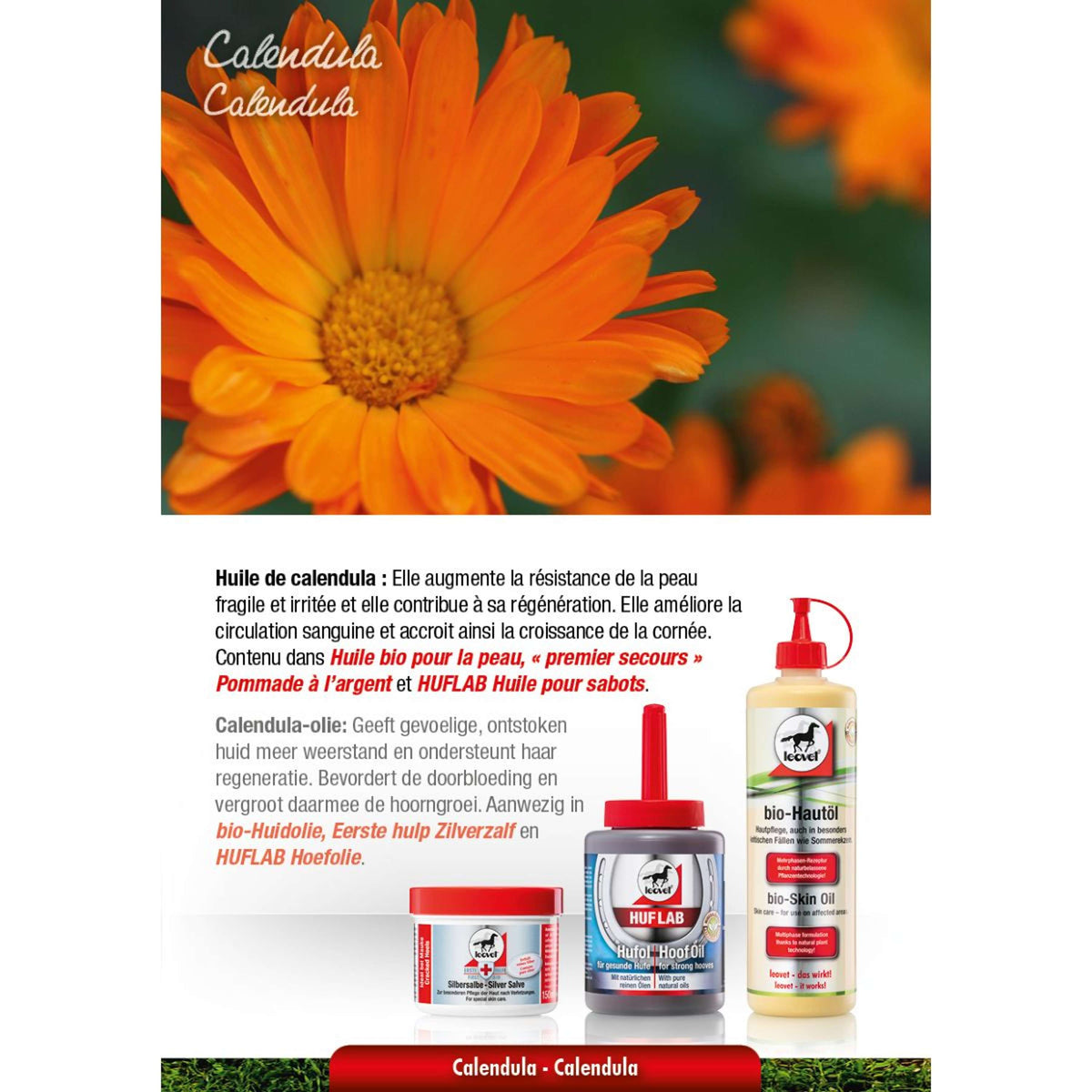Leovet Ungüento de Plata Blanco