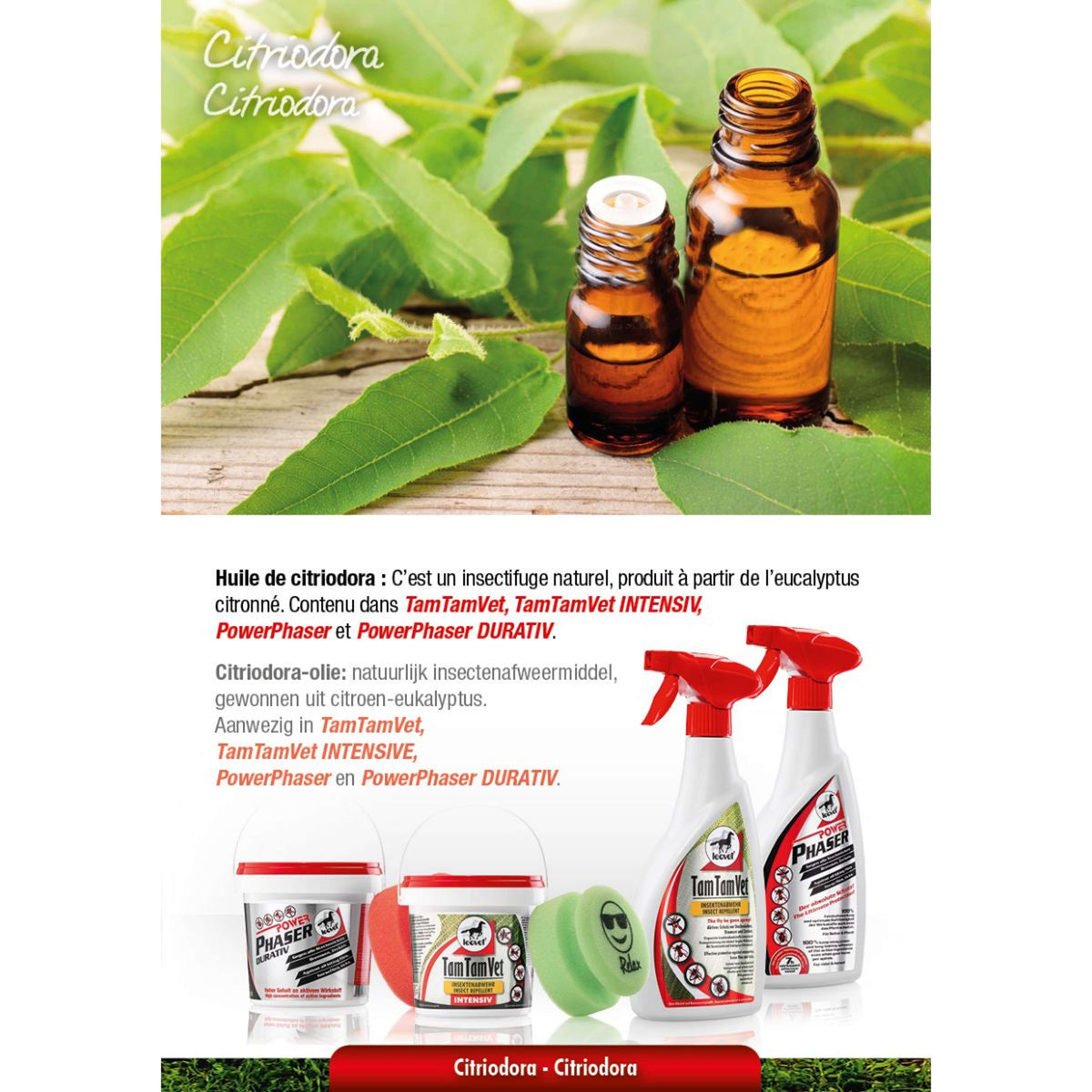 Leovet Faser de potencia