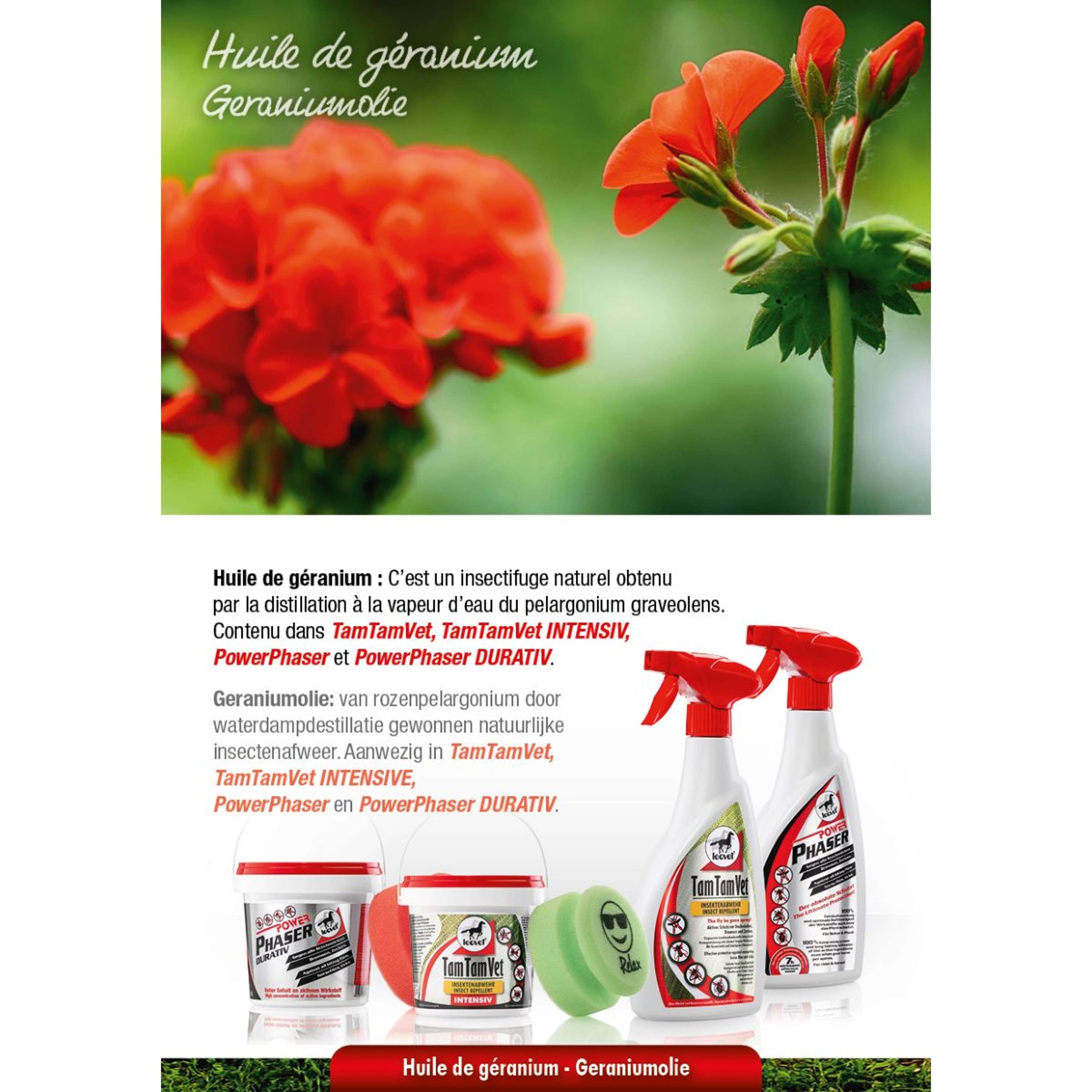 Leovet Faser de potencia