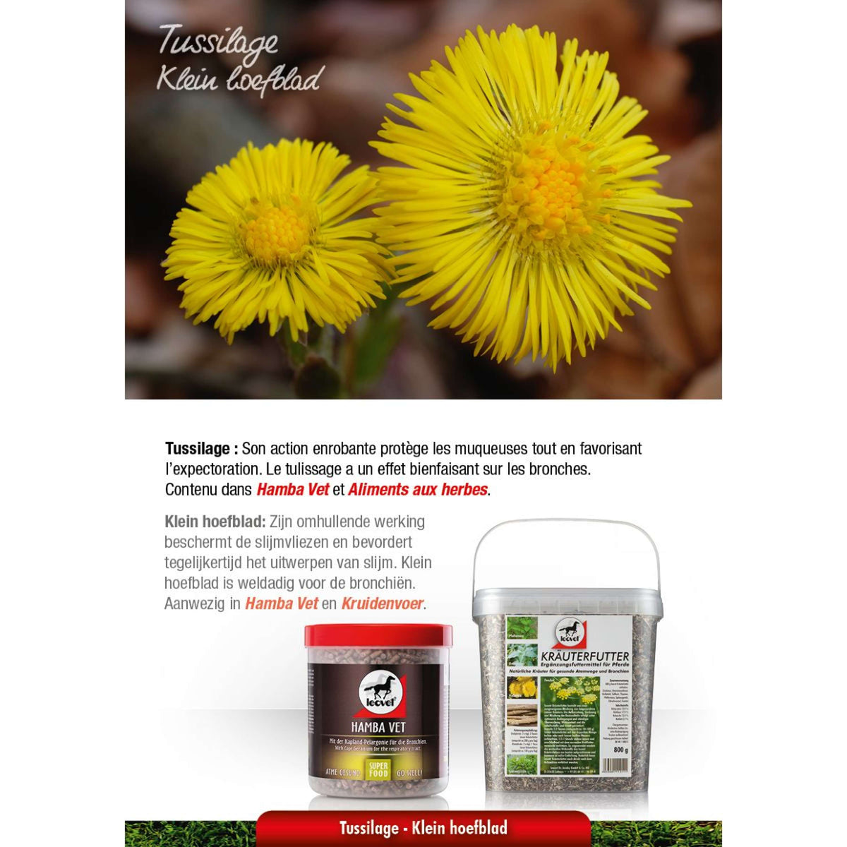 Leovet Alimento Herbal