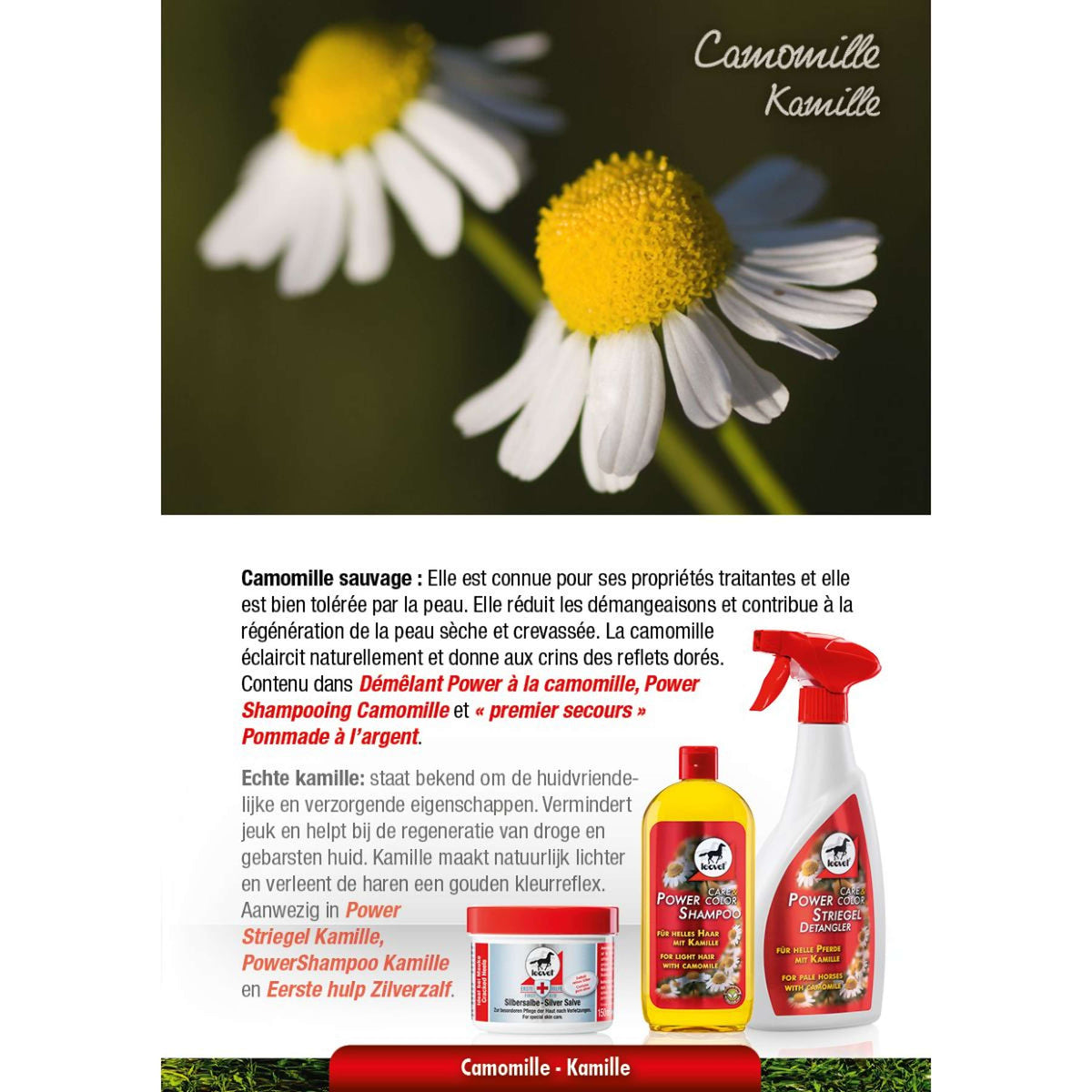 Leovet Ungüento de Plata Blanco