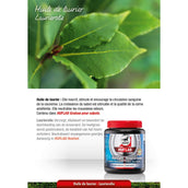 Leovet HoofLab Grasa para Cascos