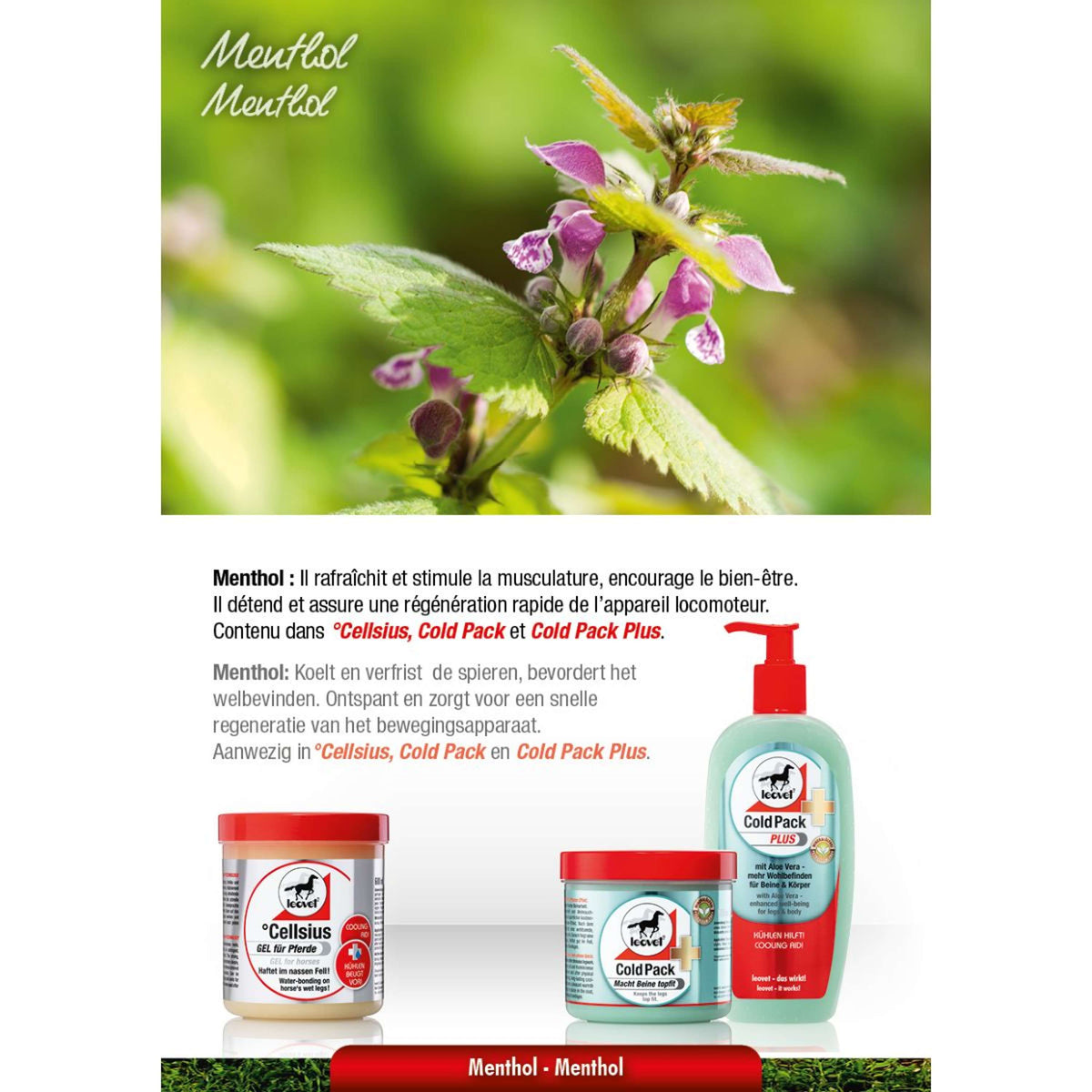 Leovet Paquete Frío