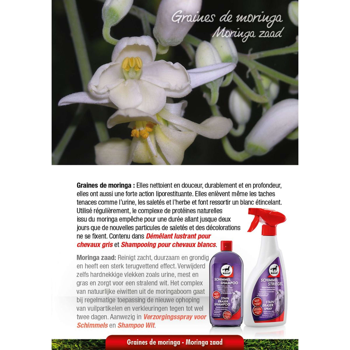 Leovet Shampoo Milton-White