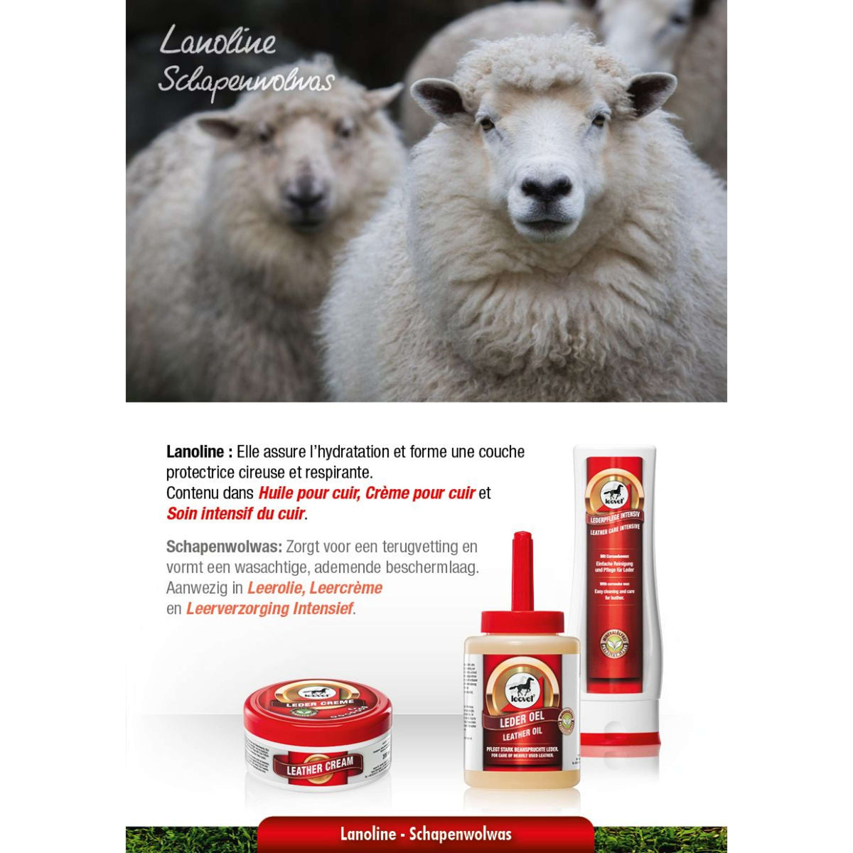 Leovet Cuidado Intensivo para Cuero
