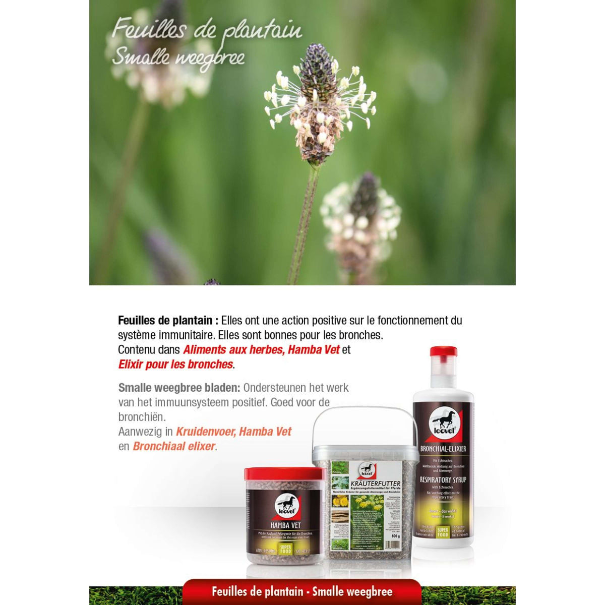 Leovet Alimento Herbal