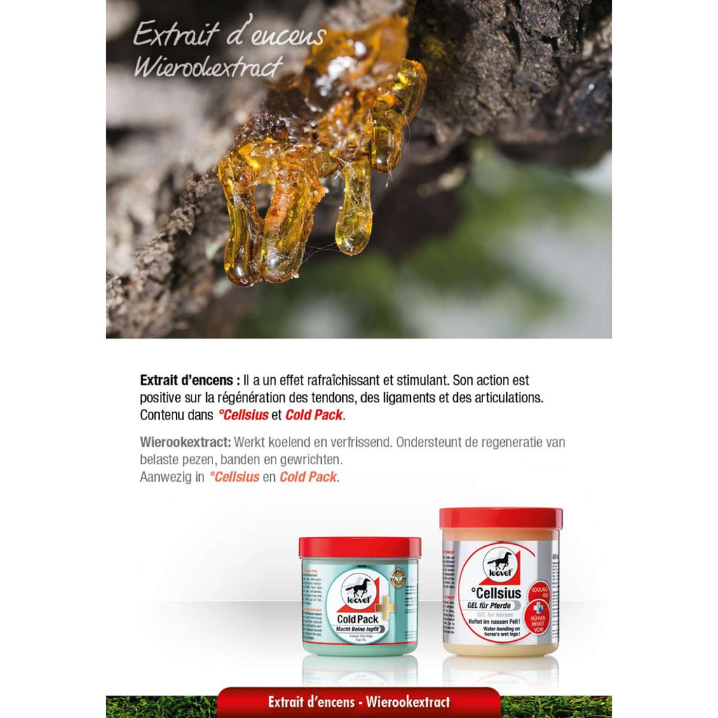 Leovet Paquete Frío