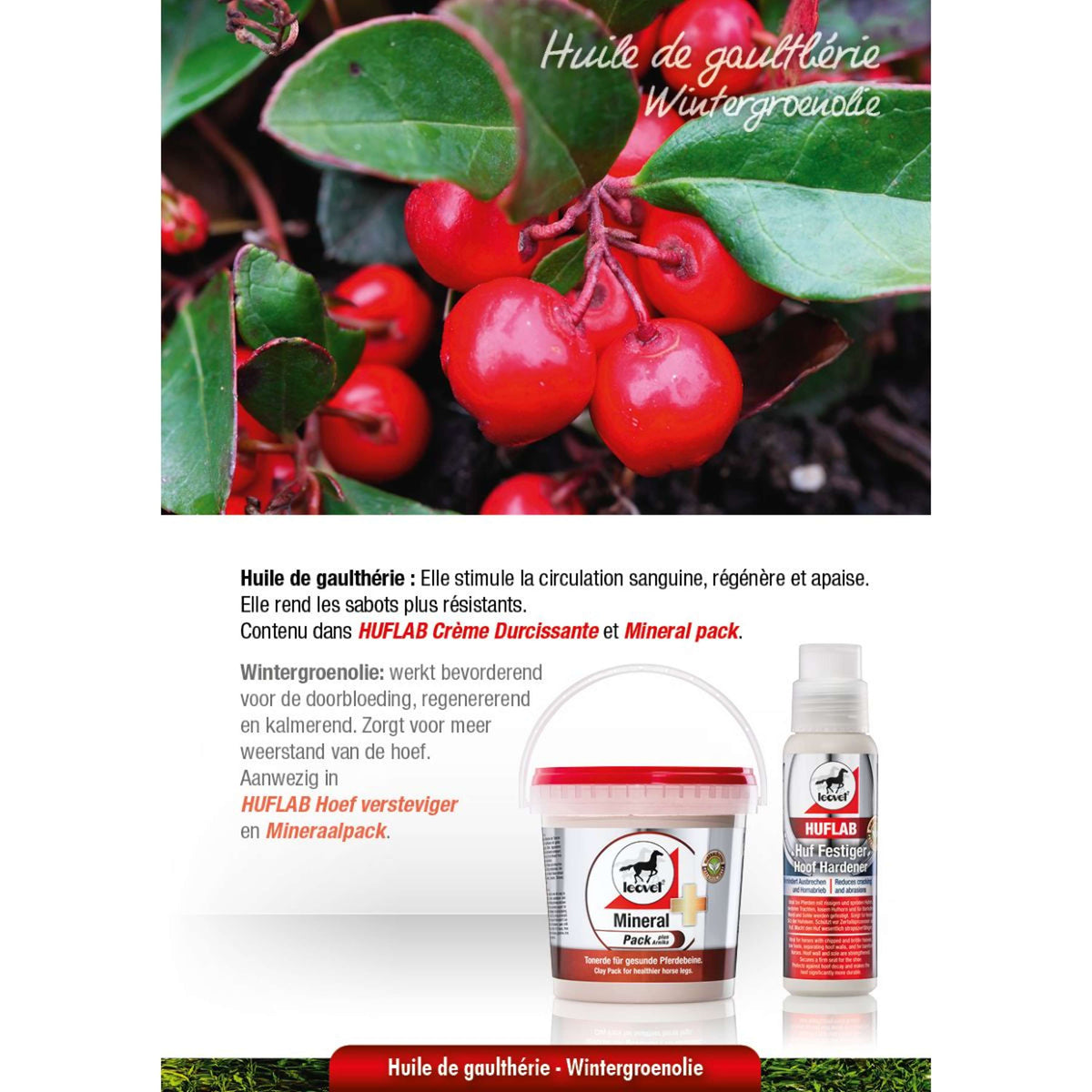 Leovet Mineralpack