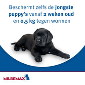Milbemax Tableta Desparasitante Perro Grande 2 Comprimidos