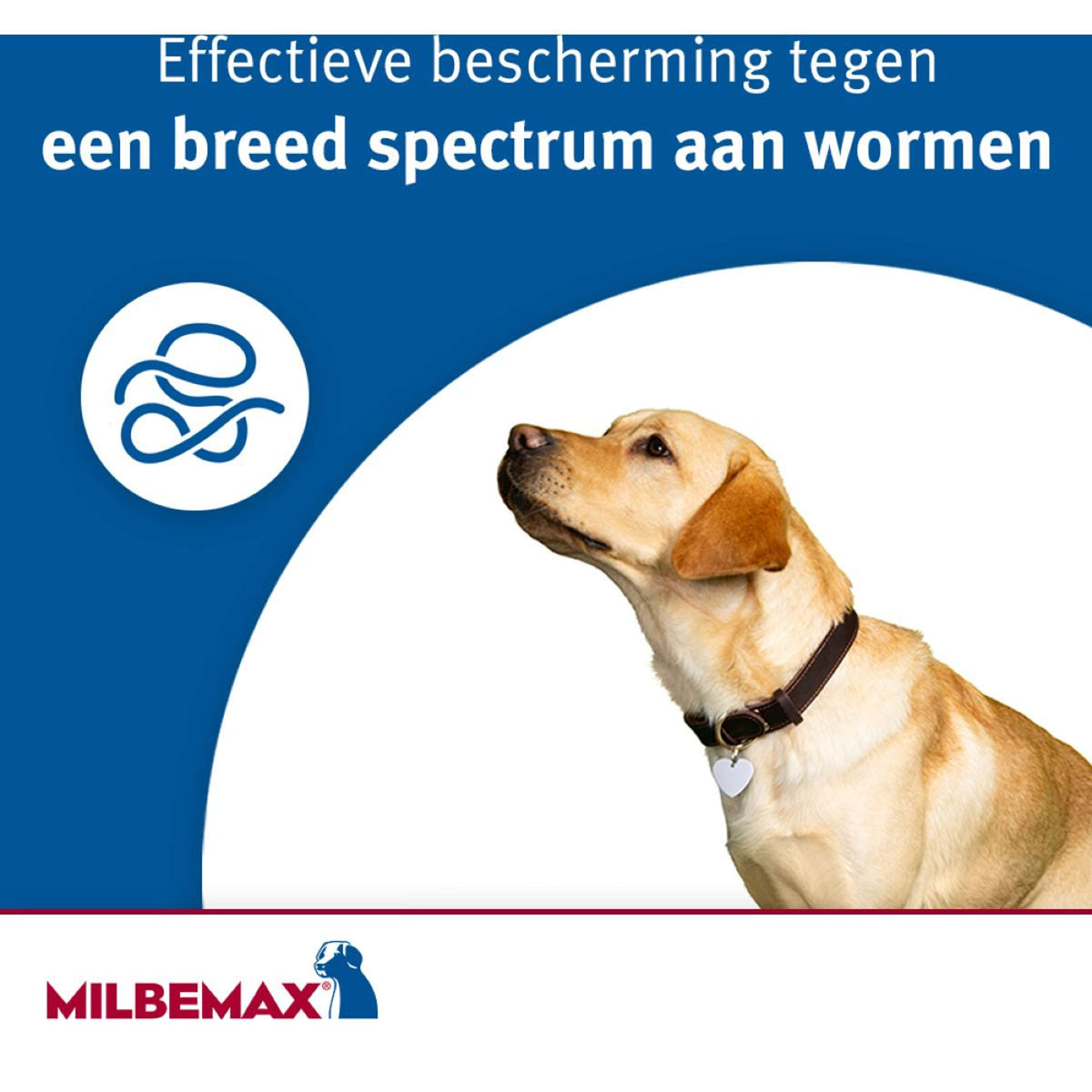 Milbemax Tableta Desparasitante
