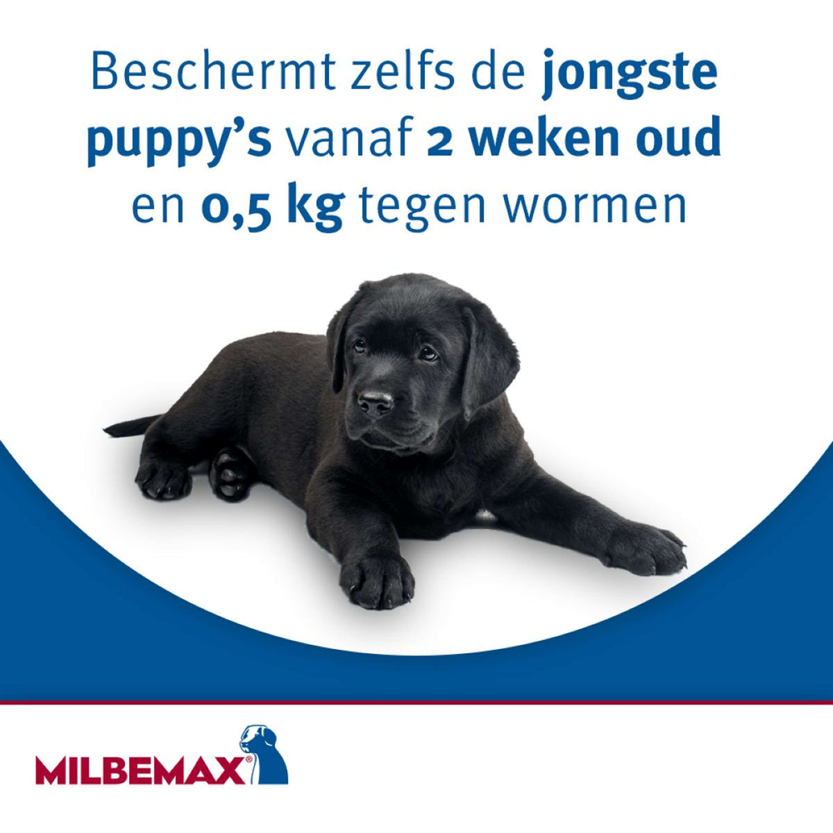 Milbemax Tableta Masticable