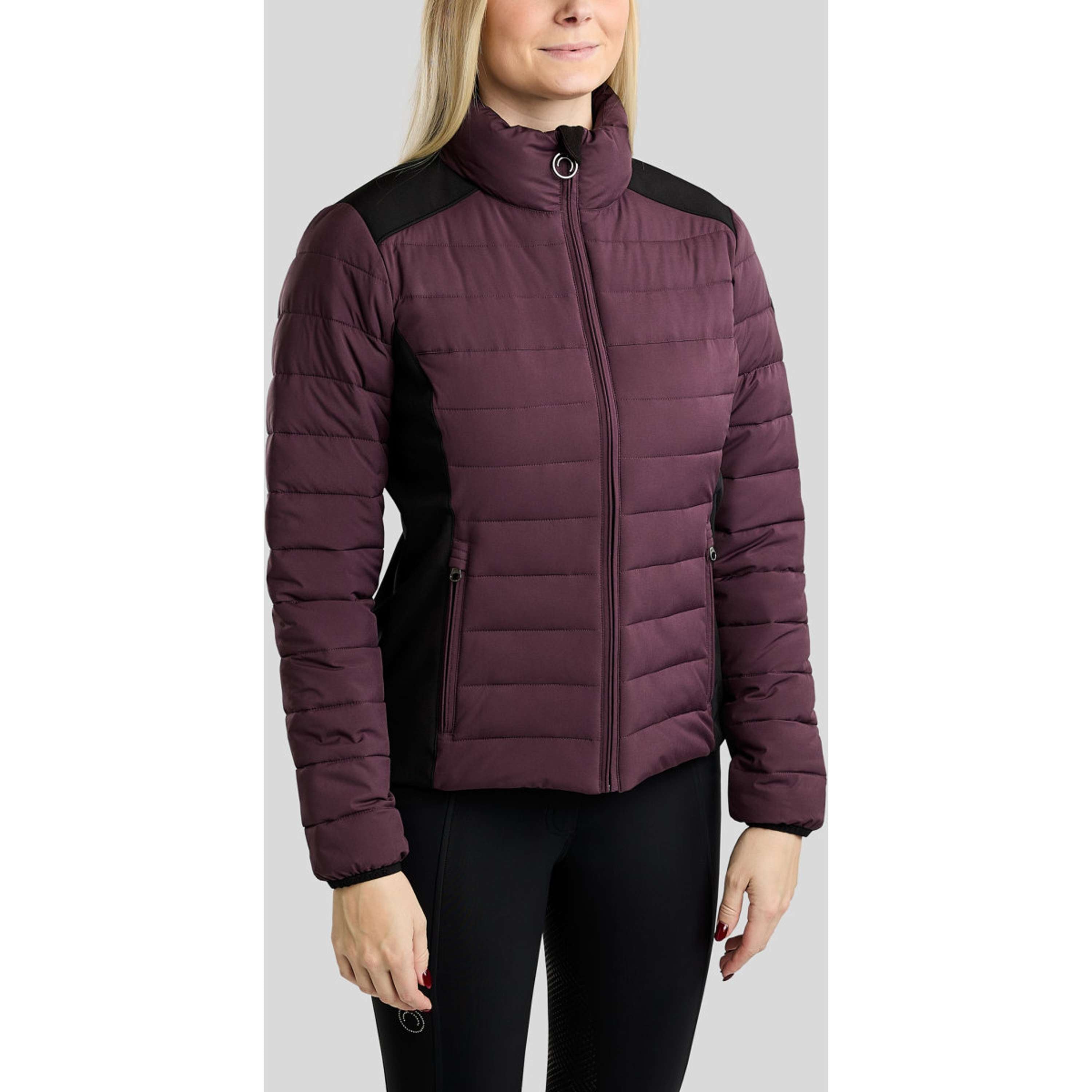 Montar Chaqueta MoRuby Essential Padded Softshell Fig