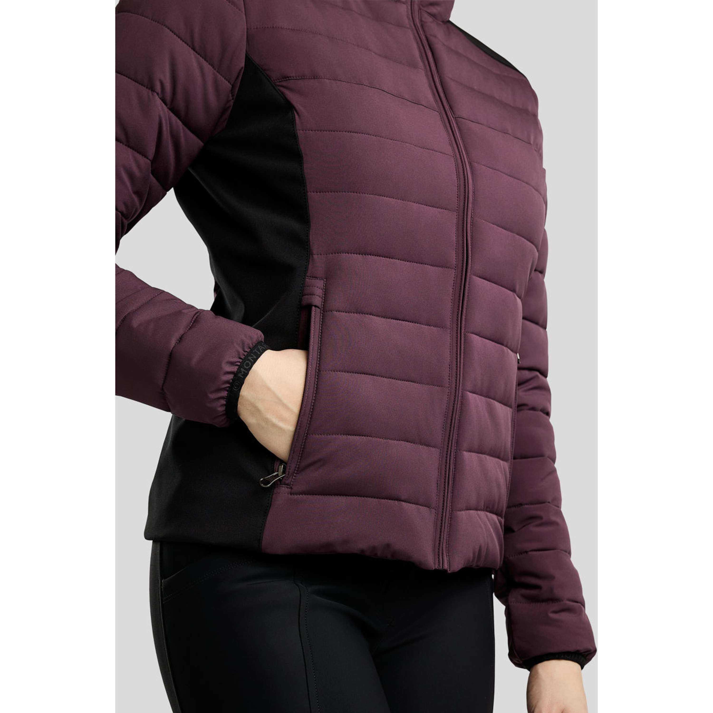 Montar Chaqueta MoRuby Essential Padded Softshell Fig