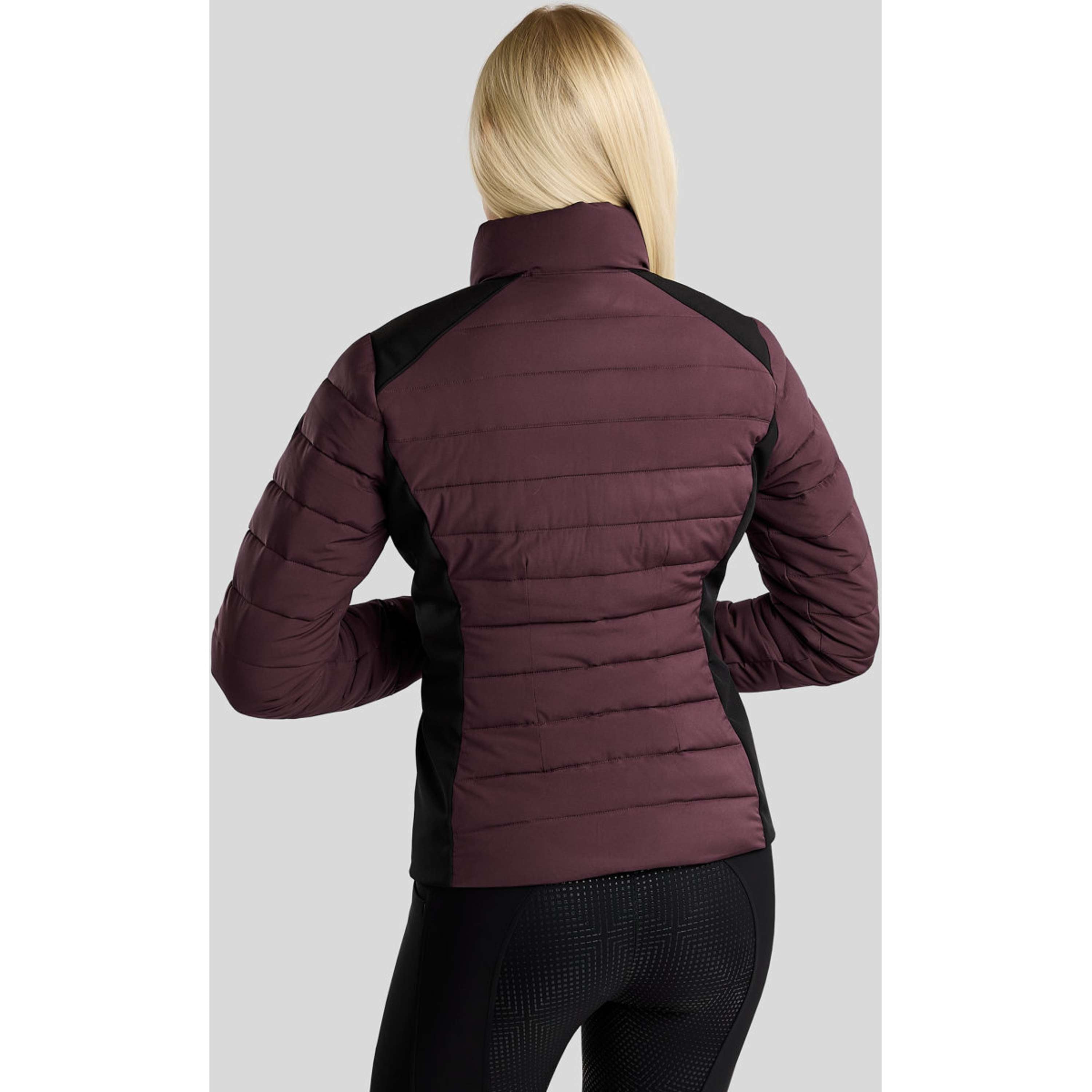 Montar Chaqueta MoRuby Essential Padded Softshell Fig