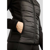 Rebel Jack Hybrid Negro